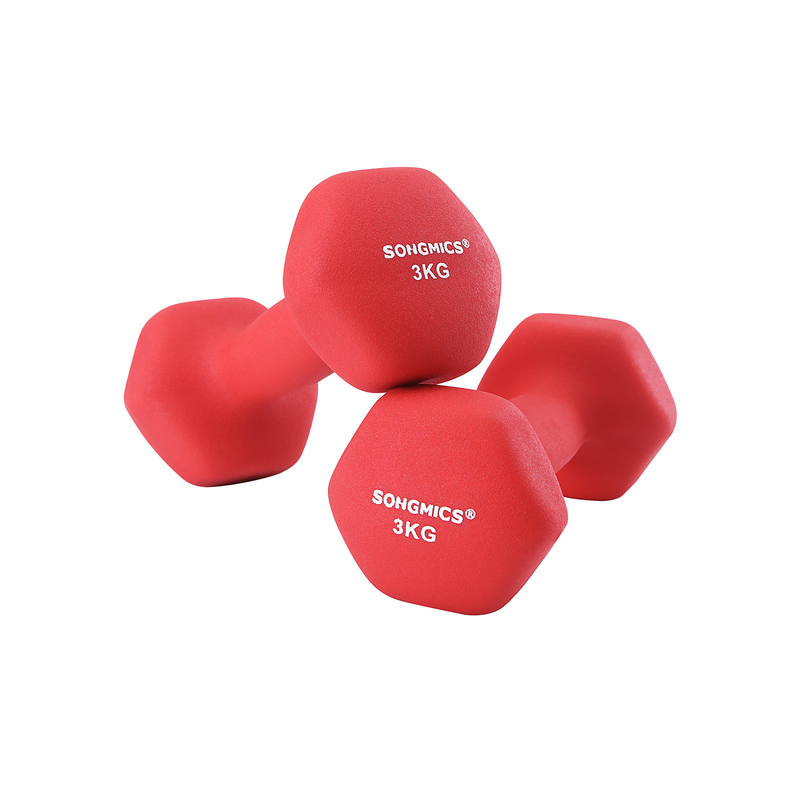 Set of 2 Dumbbells - Indigo Home