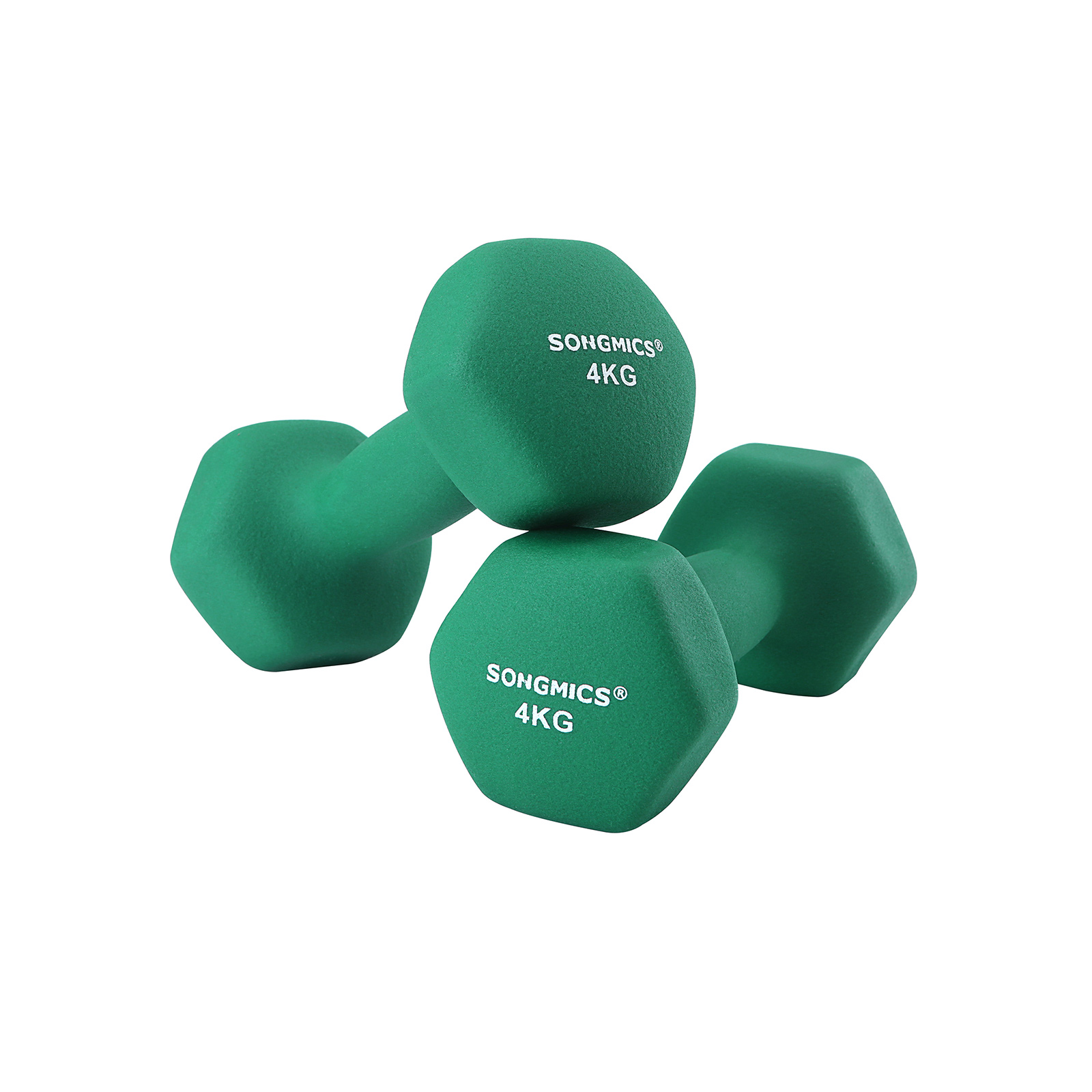 Set of 2 Dumbbells Weights - Indigo Home