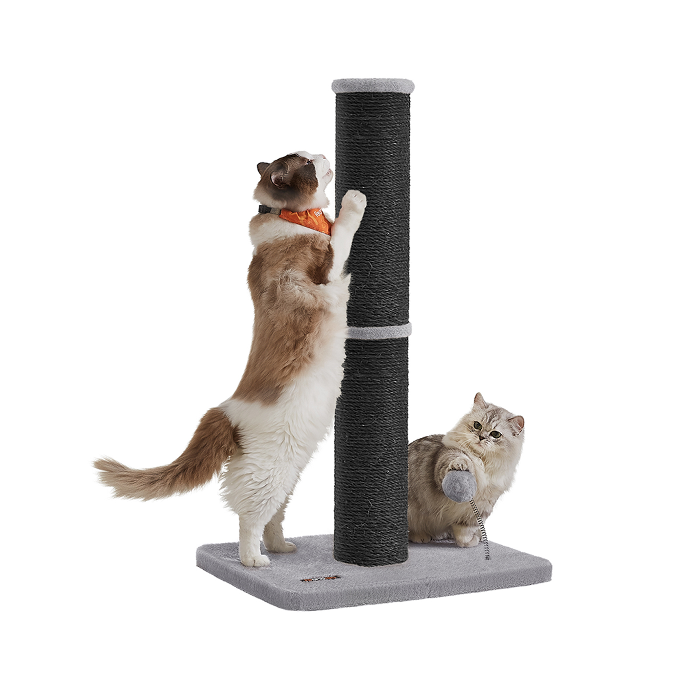 Cat Scratching Post - ZARNZA Tall Cat Scratcher with Sisal Rope - Black - Indigo Home