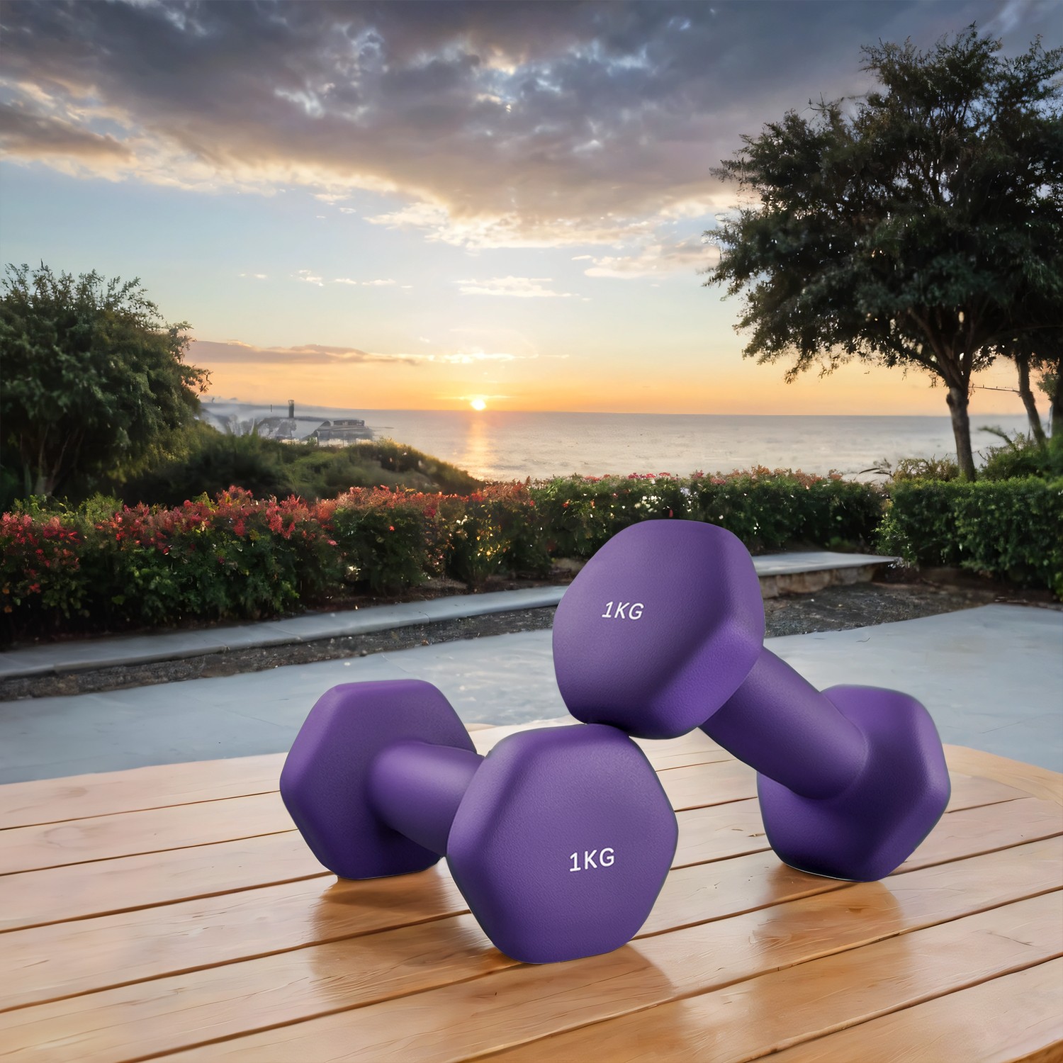 Dumbbells - LUSNOS Set of 2 Neoprene Hex Dumbbells - 1 kg each with Bar - Purple - Indigo Home