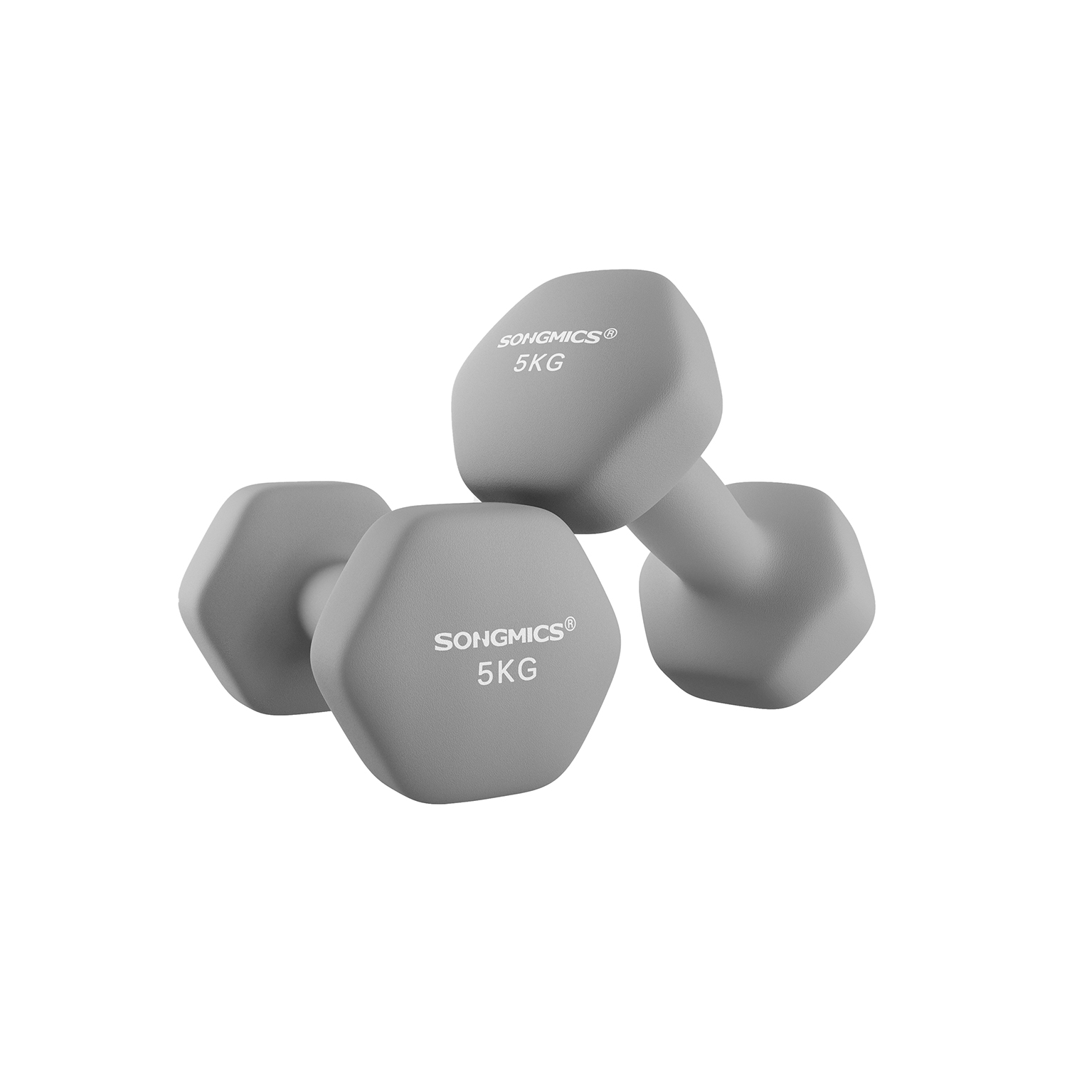 Set of 2 Dumbbells 2 x 5 kg Grey - Indigo Home