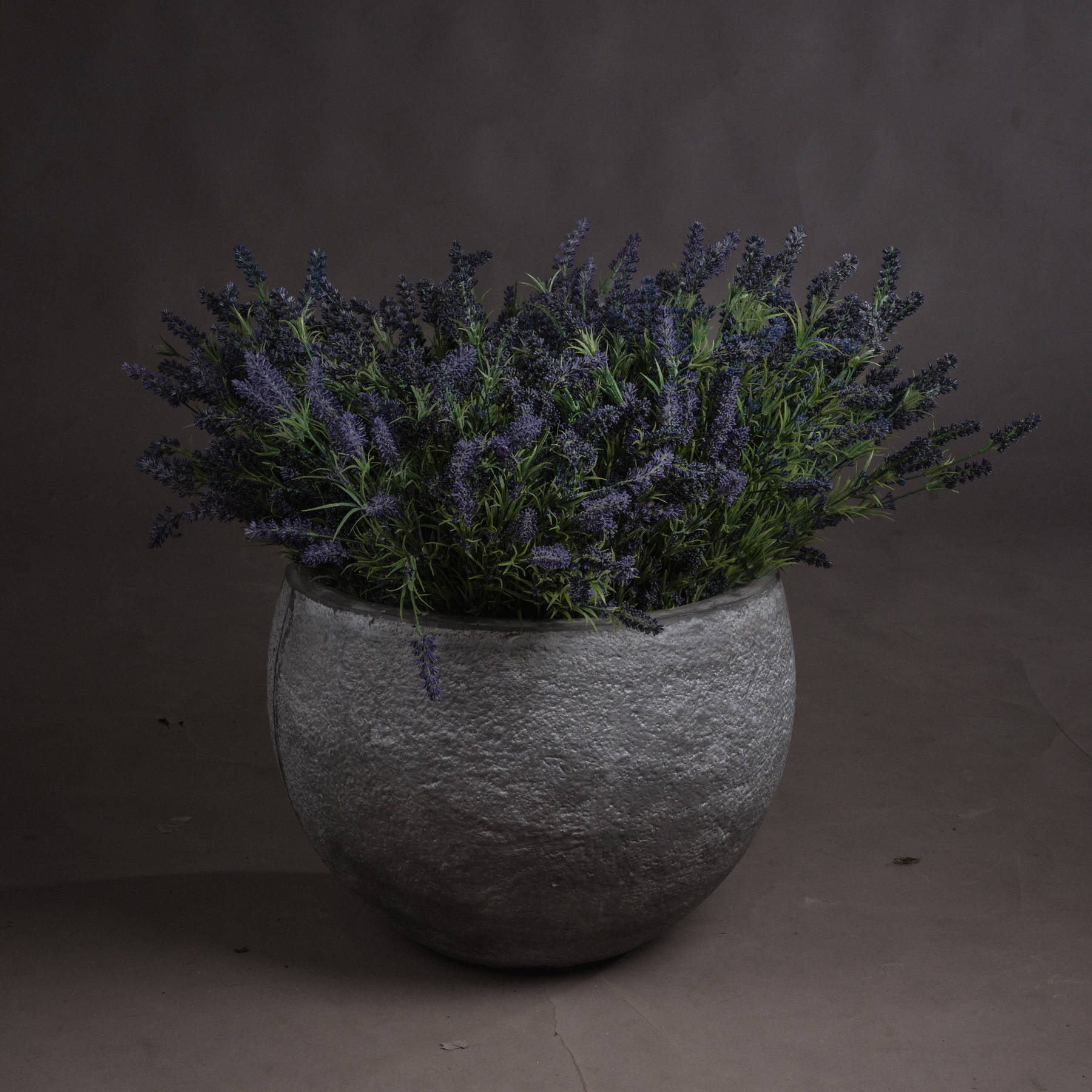 Large Lavender Bush - Plastic - Corinthia Corner