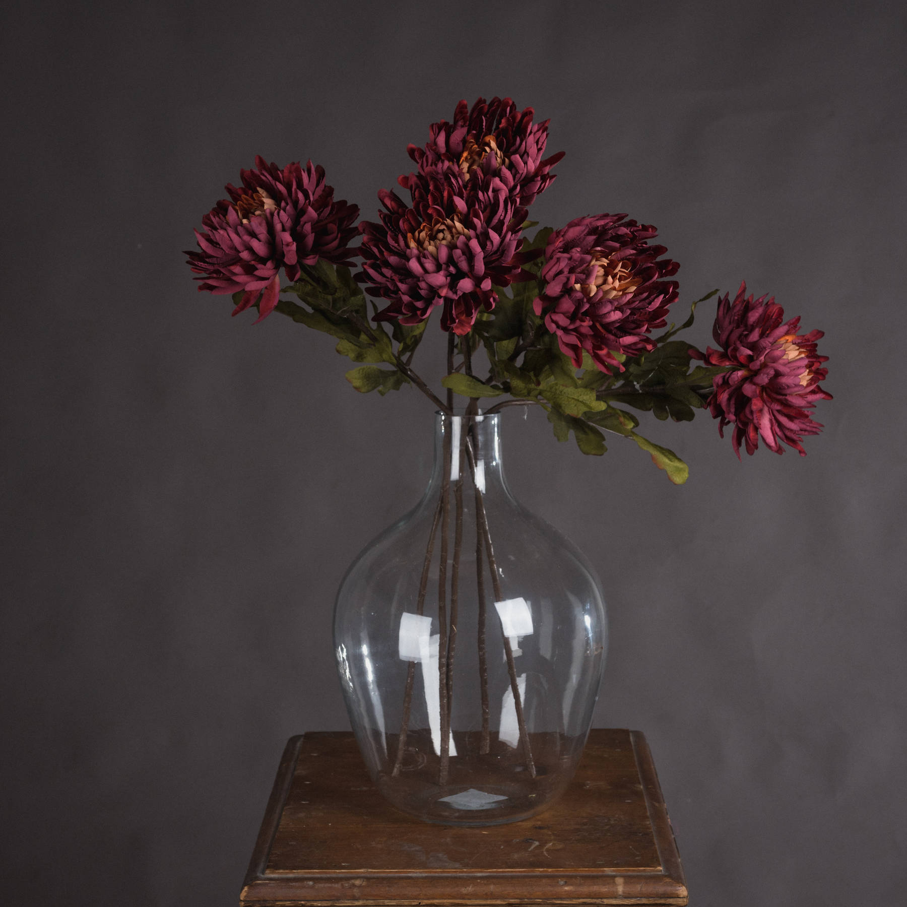 Autumn Spider Chrysanthemum - Purple - Corinthia Corner