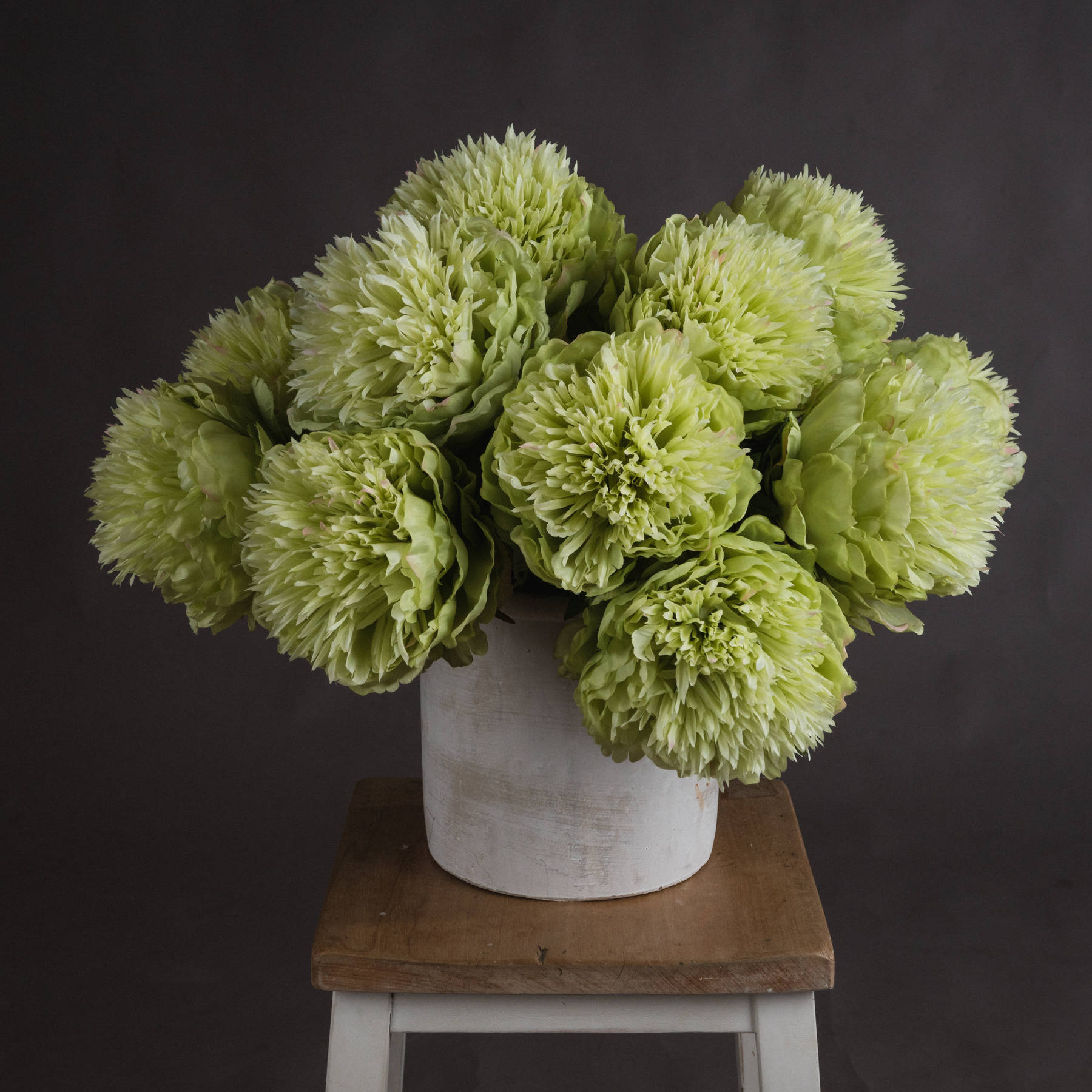 Green Peony - Large - Corinthia Corner