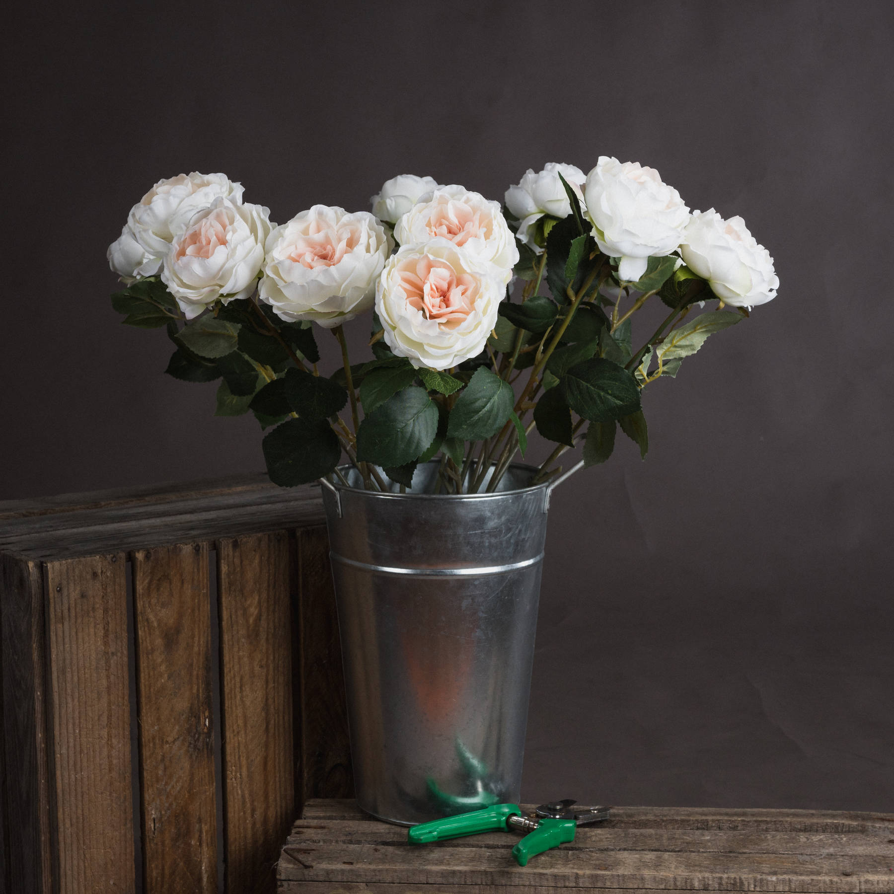 Blush Garden Rose - Pink - Corinthia Corner