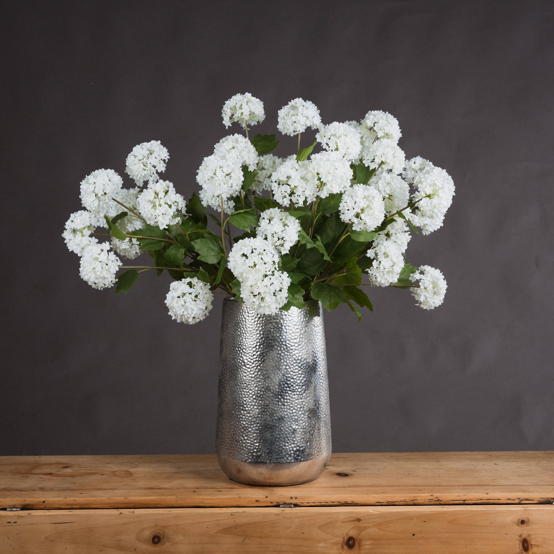 Viburnum Opulus - White - Corinthia Corner