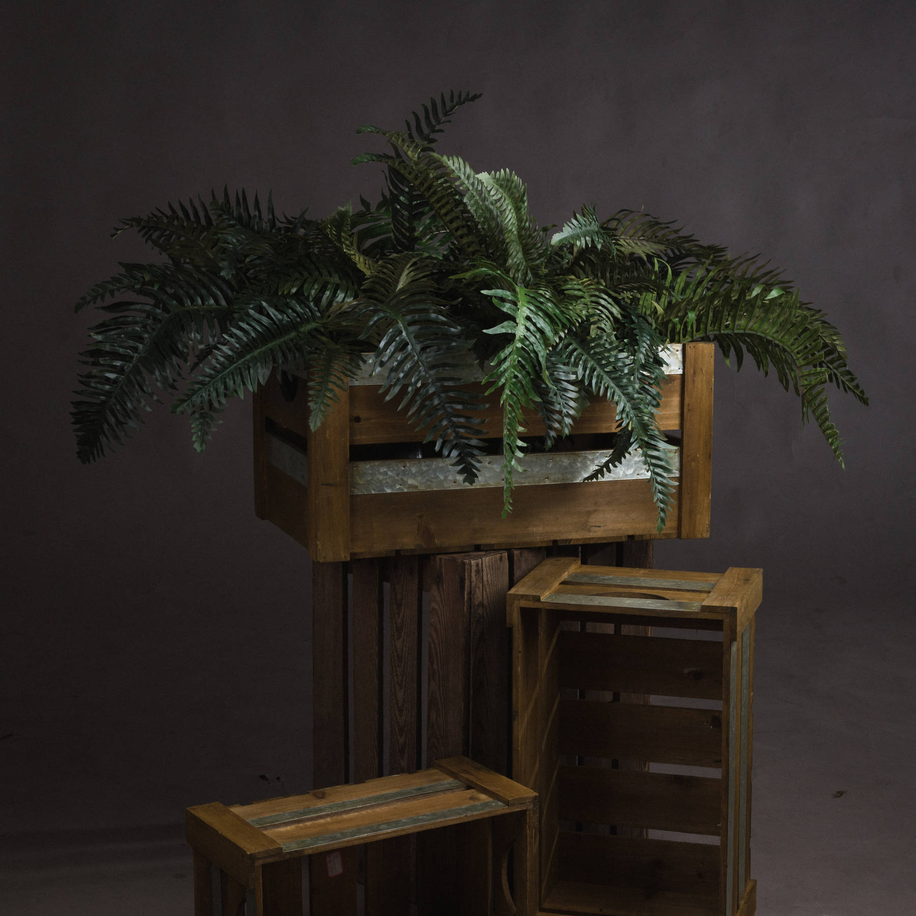 Fern Bunch - Green - Corinthia Corner