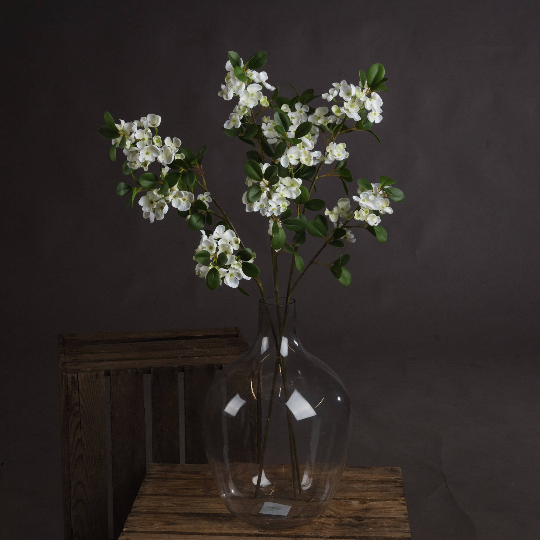 Spring Mock Orange Flower - White - Corinthia Corner