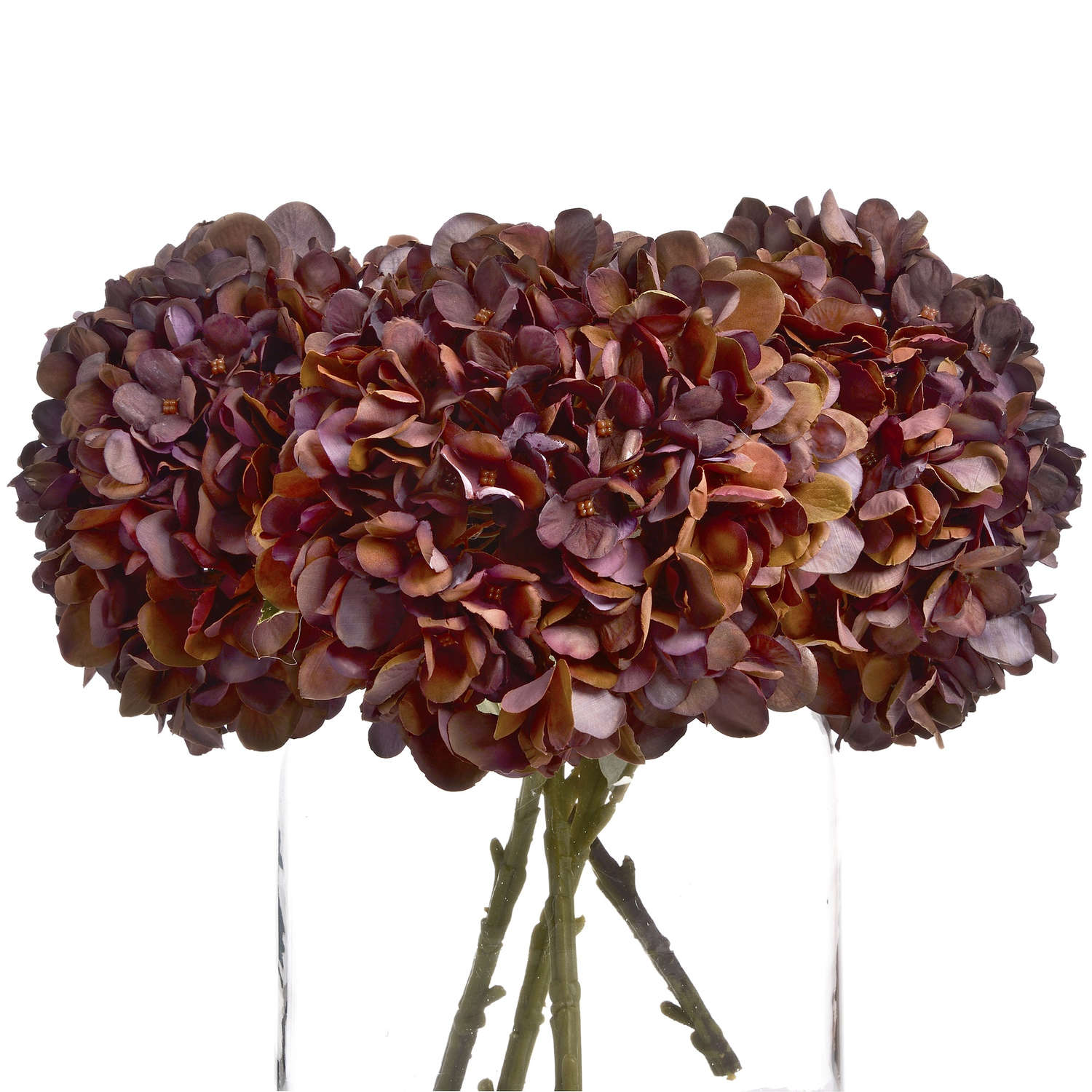 Autumn Coffee Hydrangea - Red - Corinthia Corner
