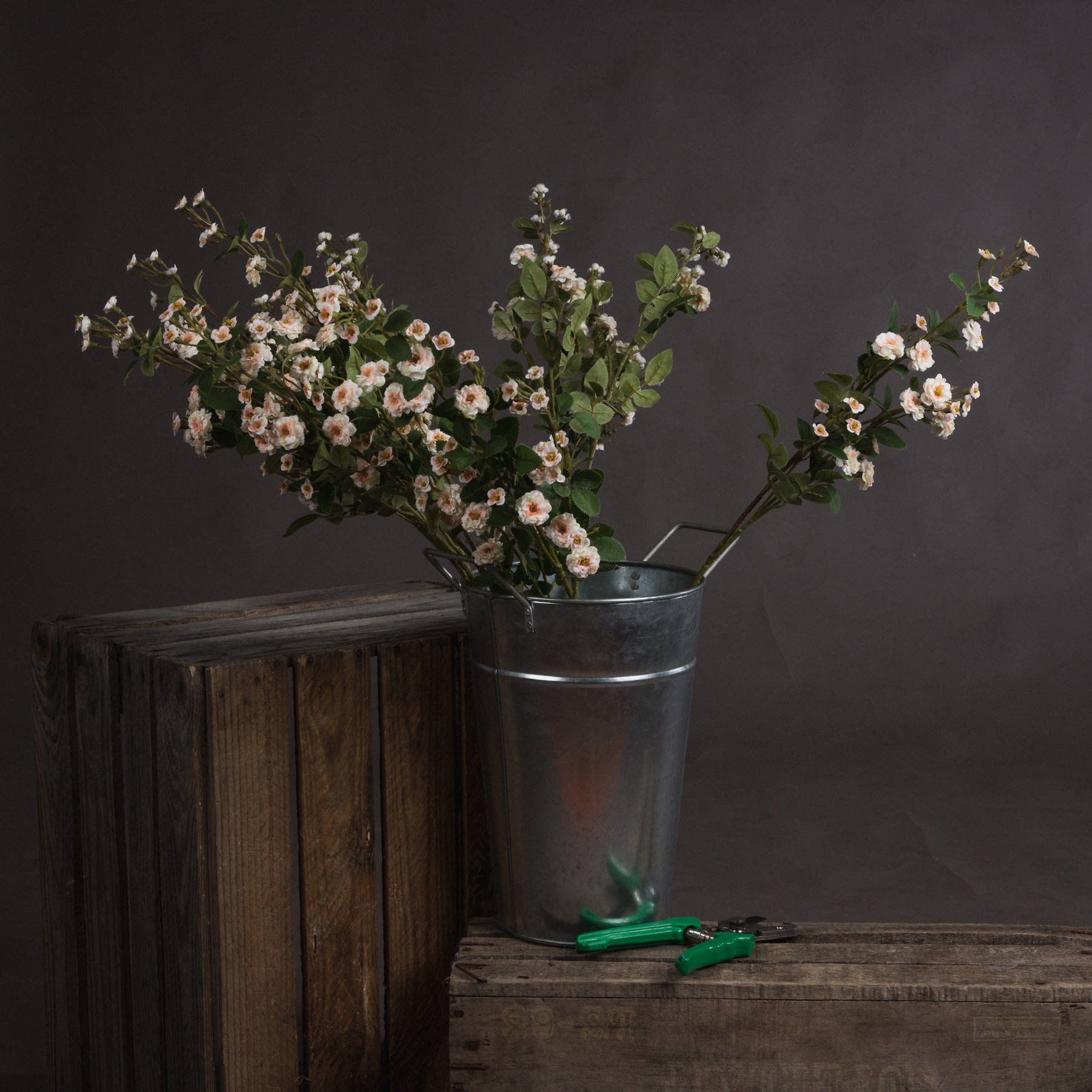 Wild Meadow Rose - Cream - Corinthia Corner