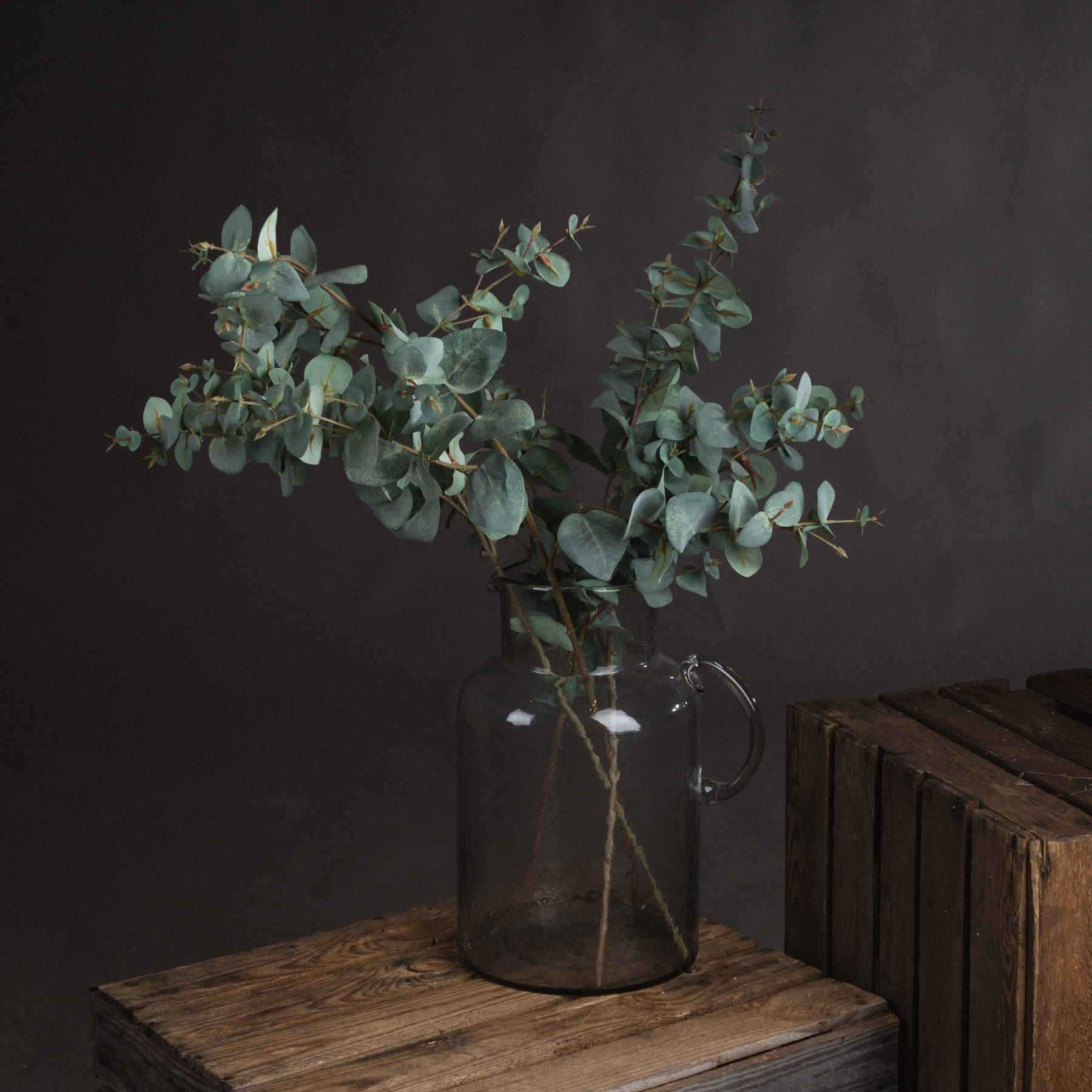 Variegated Eucalyptus - Green - Corinthia Corner