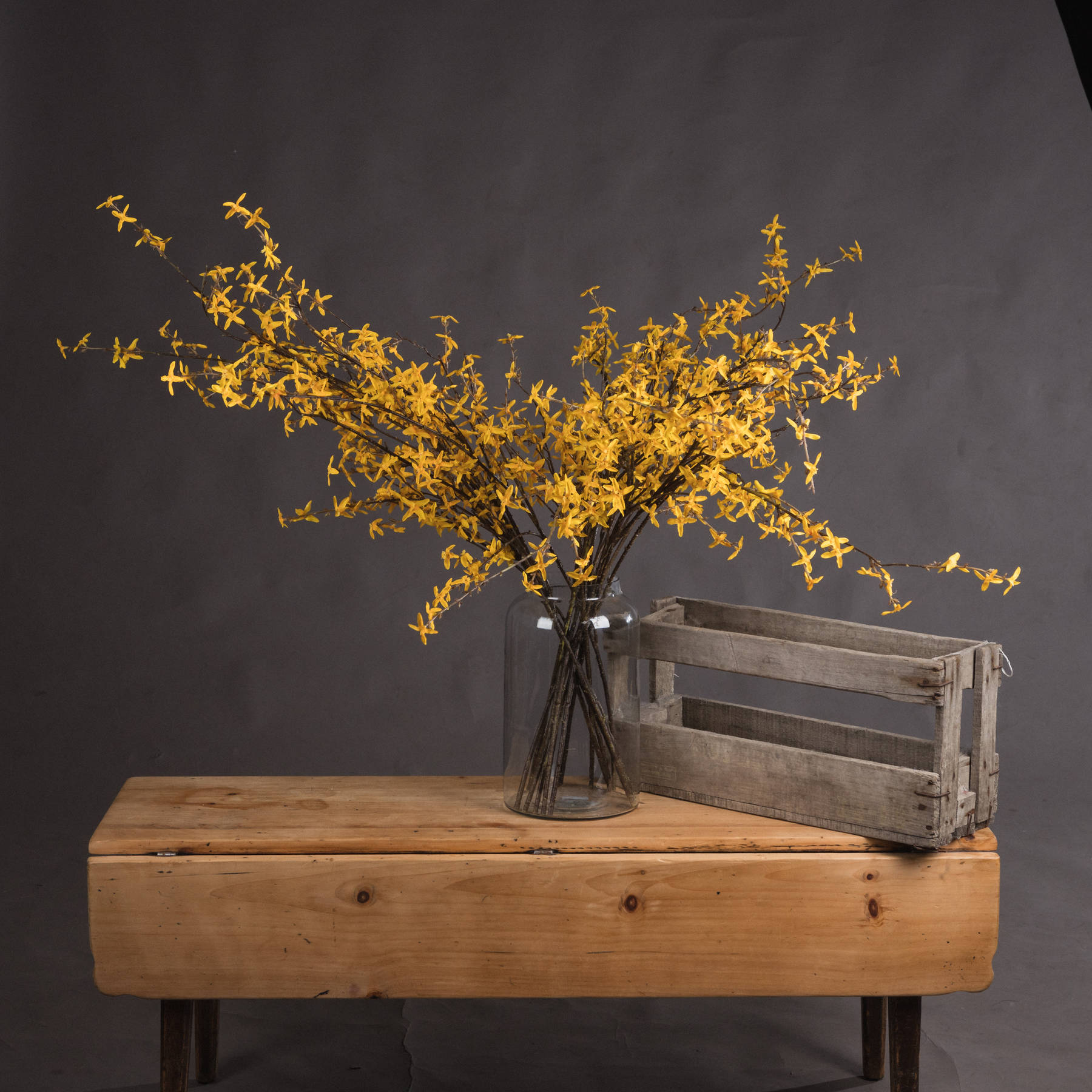 Vibrant Yellow Forsythia Branch - Corinthia Corner