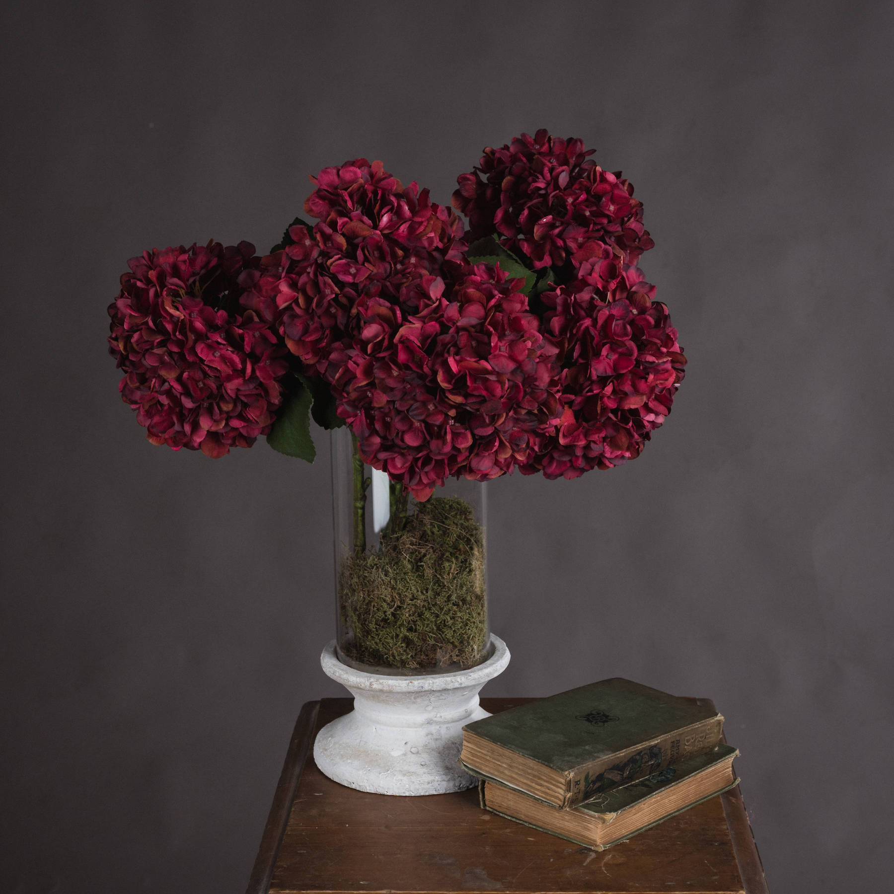 Autumn Ruby Hydrangea - Red - Corinthia Corner