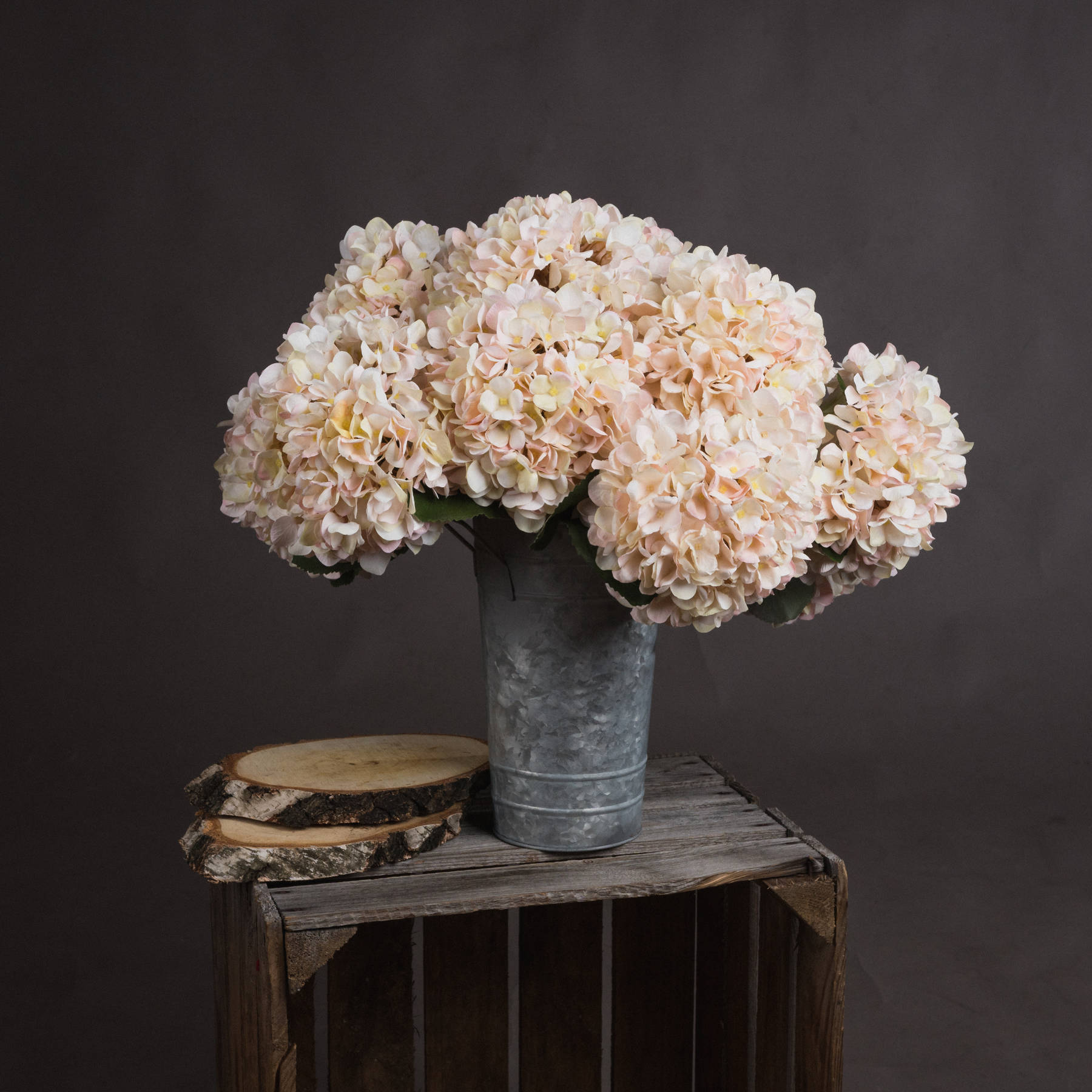 Autumn Hydrangea - White - Corinthia Corner
