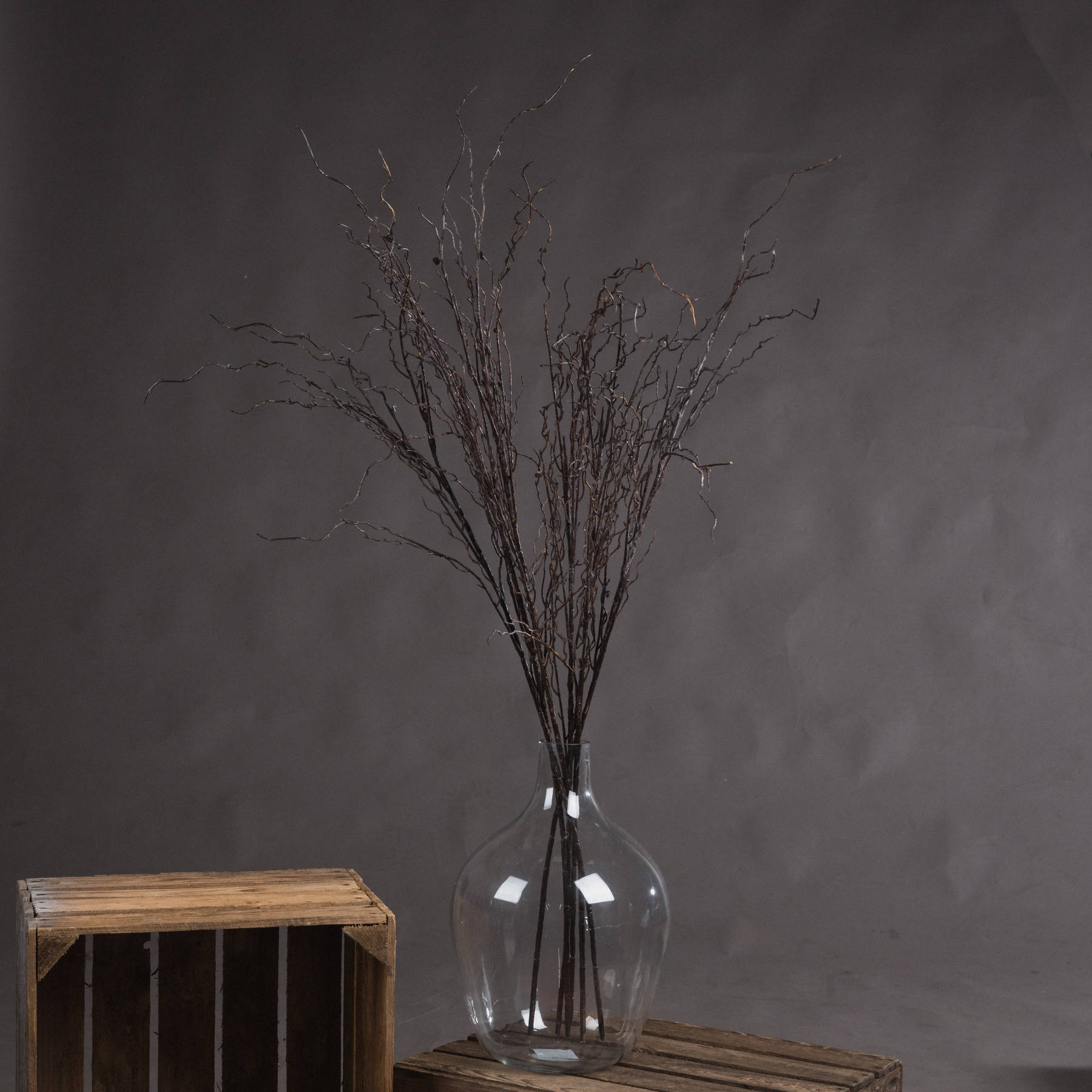 Branch Spray - Brown