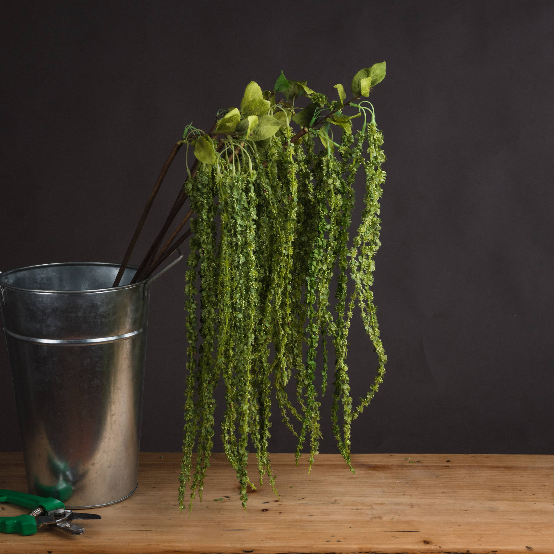 Green Plastic Amaranthus - Corinthia Corner