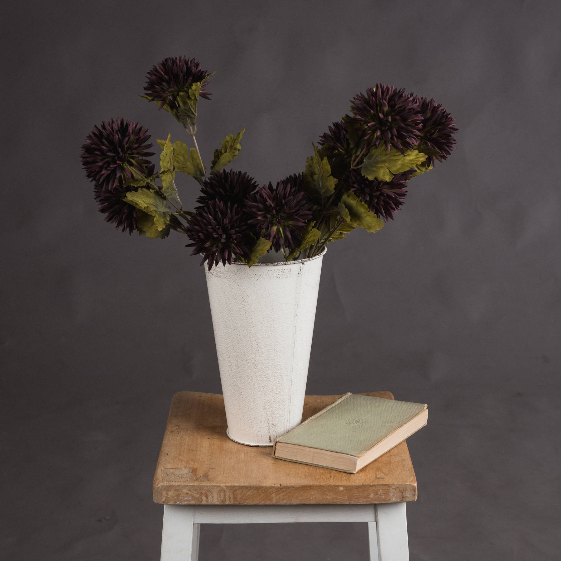 Chocolate Chrysanthemum - Brown - Corinthia Corner