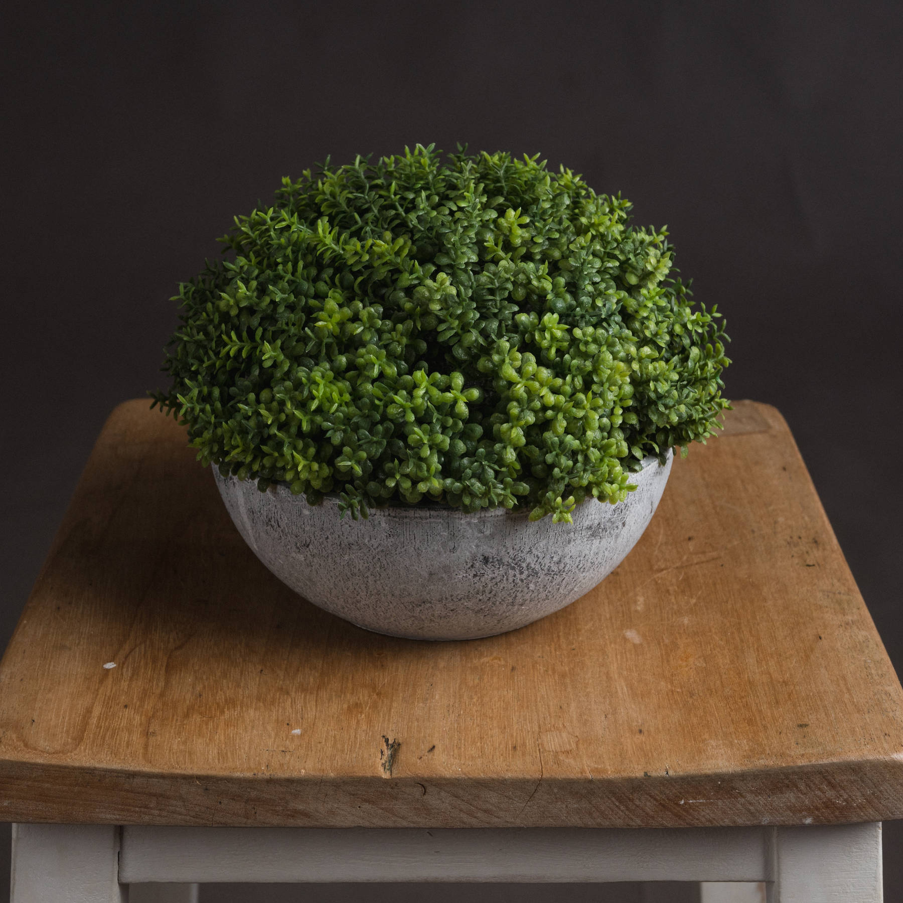 Small Hebe Globe Pot - Green - Corinthia Corner