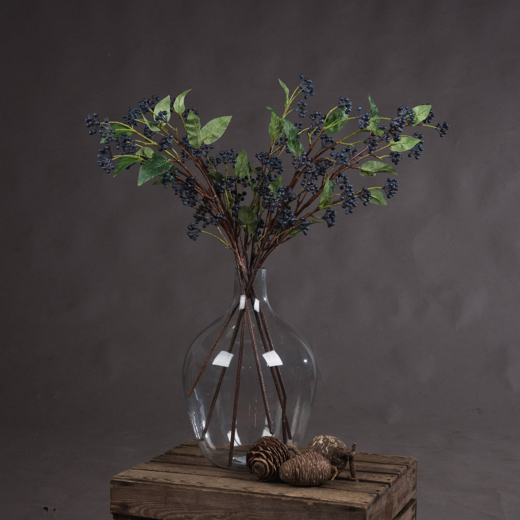 Viburnum Berry - Blue - Corinthia Corner