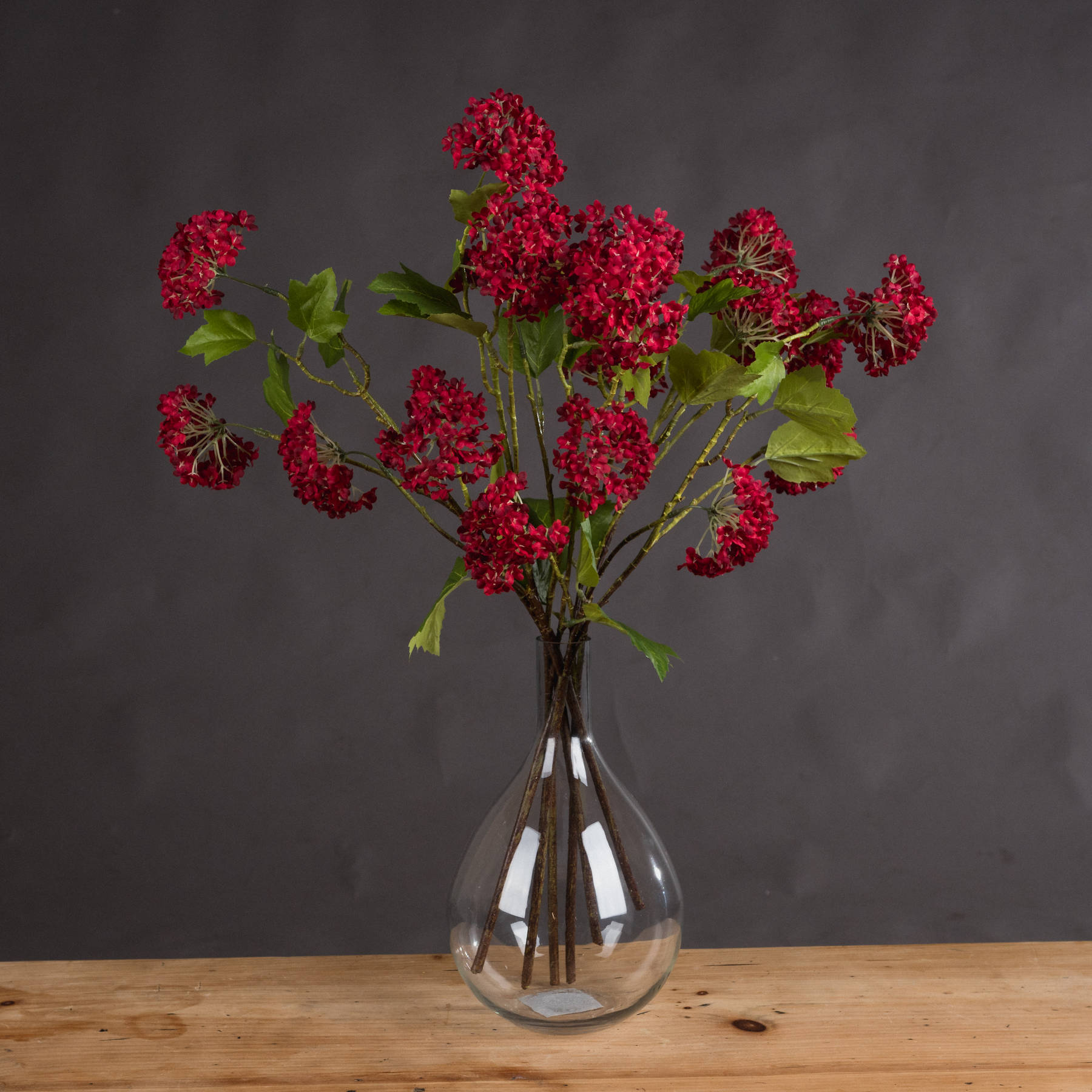 Autumnal Viburnum - Red - Corinthia Corner