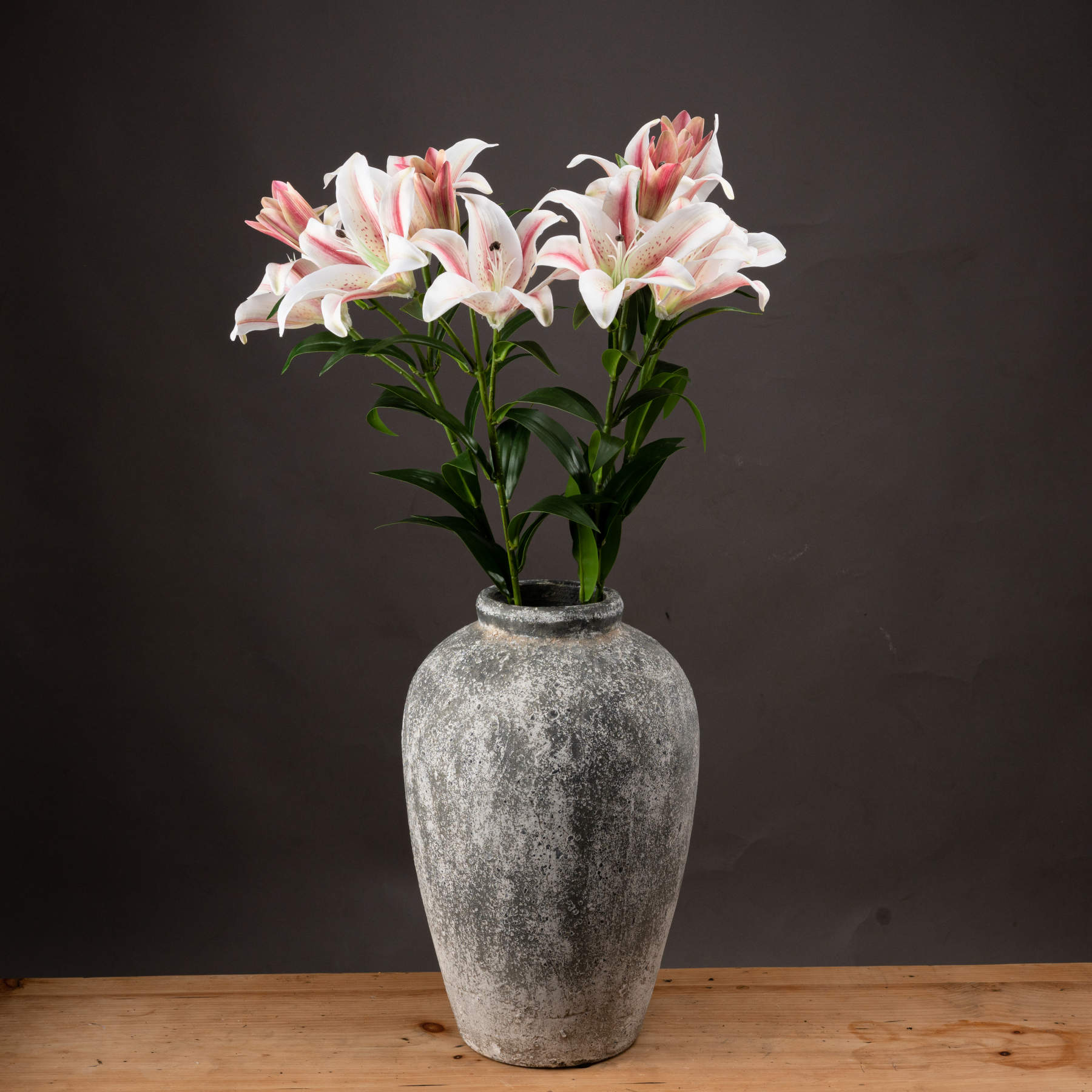 Stargazer Lily - White - Corinthia Corner