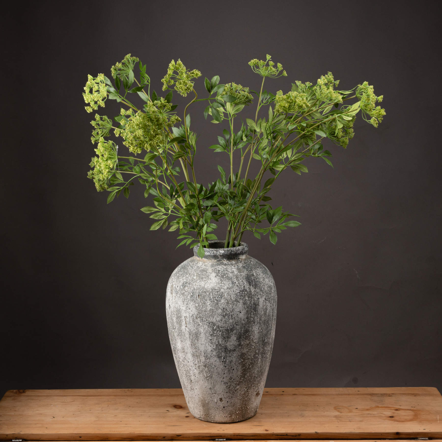 Faux Cow Parsley Ammi - Green - Corinthia Corner