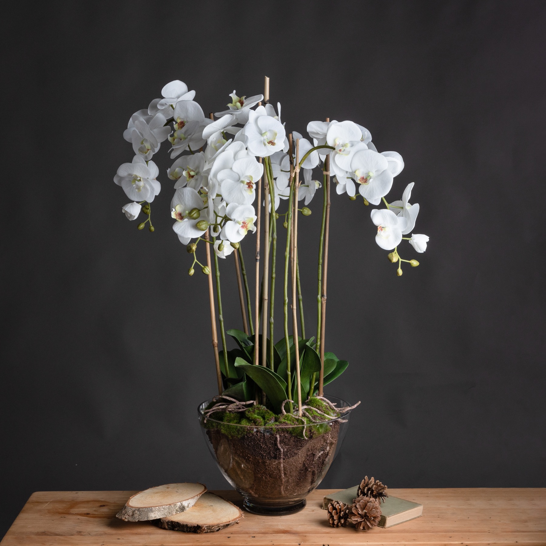 White Orchid In Glass Pot - Large - Corinthia Corner