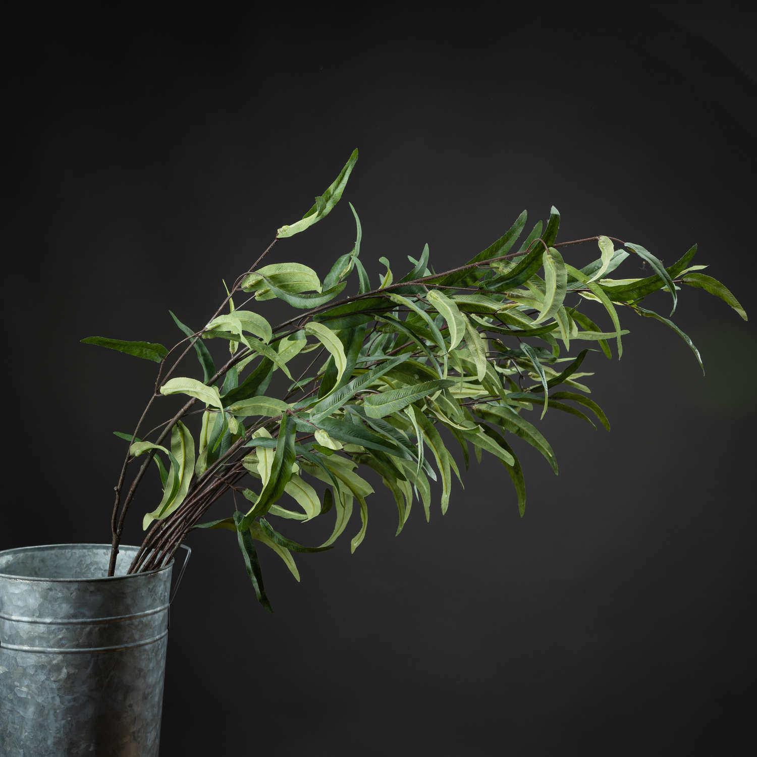 Eucalyptus Nicholii Spray - Green - Corinthia Corner