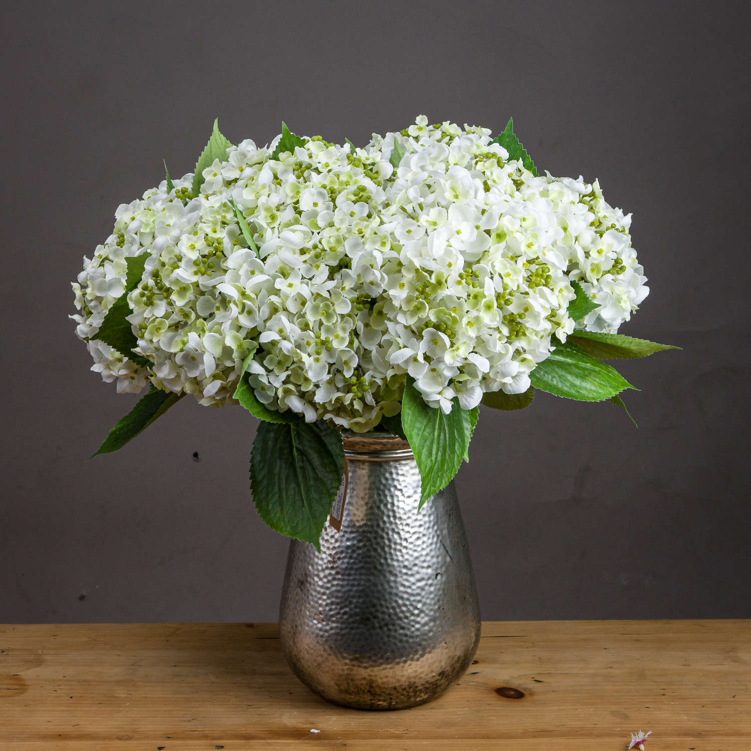 Lace Cap Hydrangea - White - Corinthia Corner