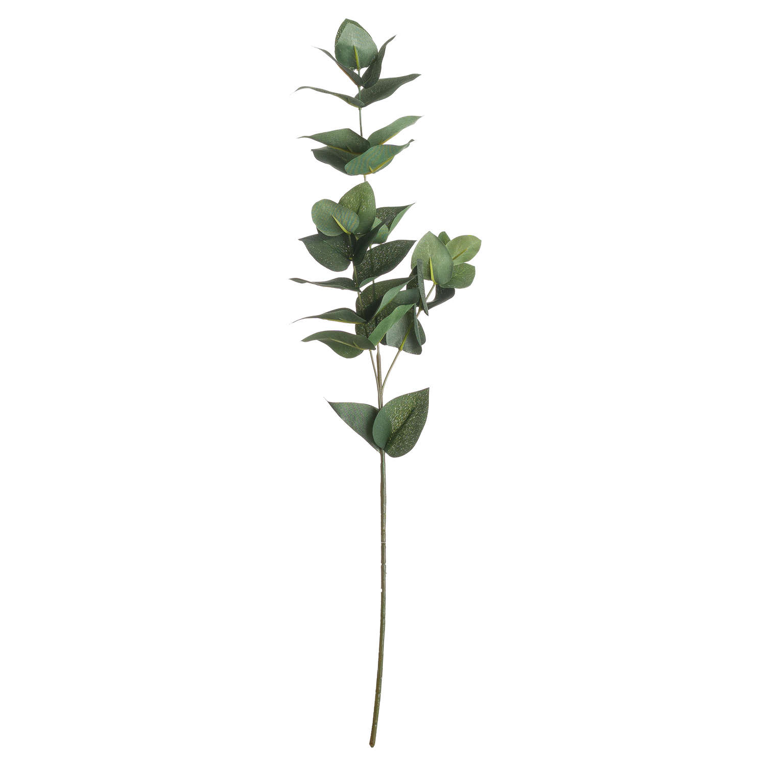 Eucalyptus Filler - Green - Corinthia Corner