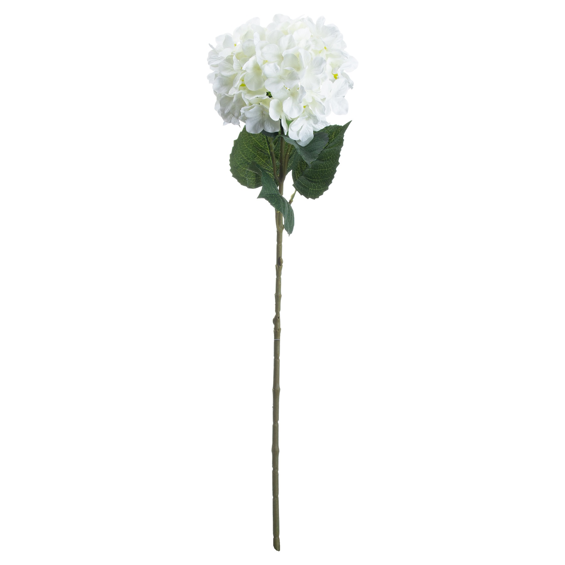 Single Hydrangea - White - Corinthia Corner