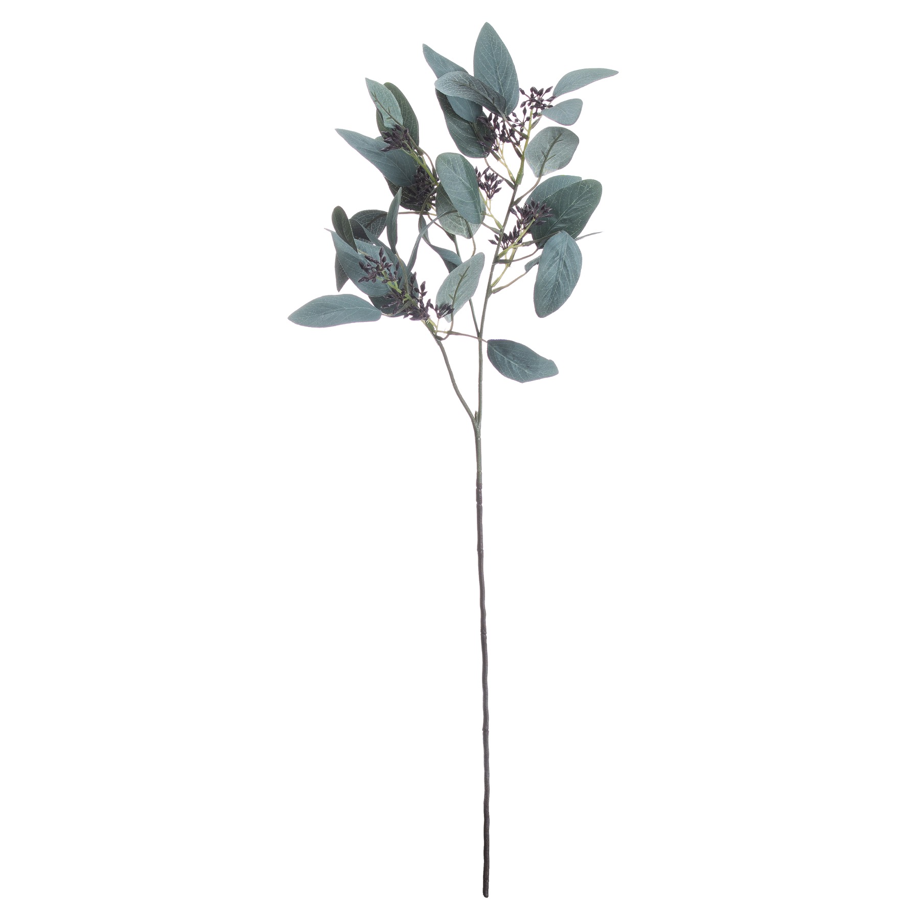 Seeded Eucalyptus Stem - Green - Corinthia Corner