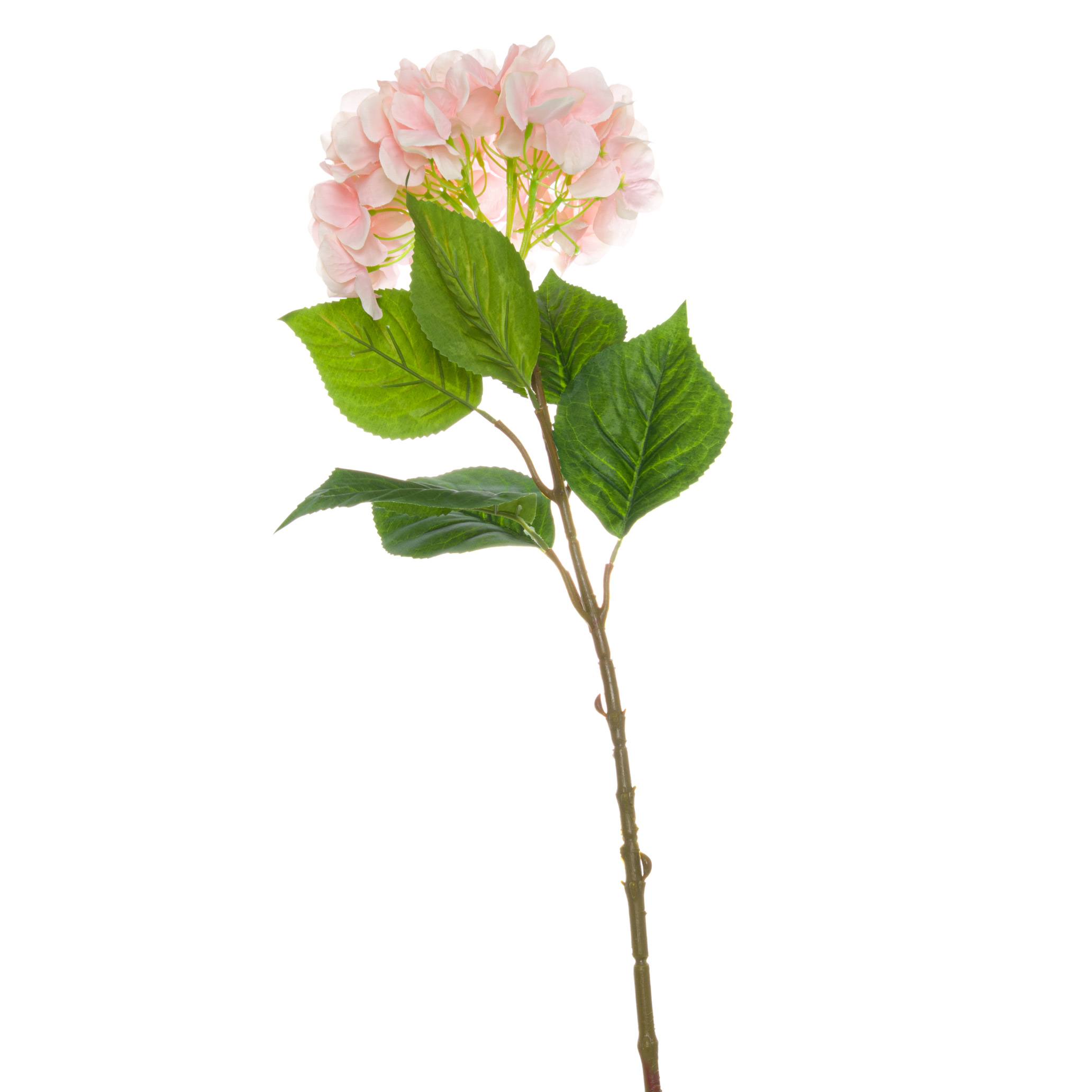 Single Hydrangea - Pink - Corinthia Corner