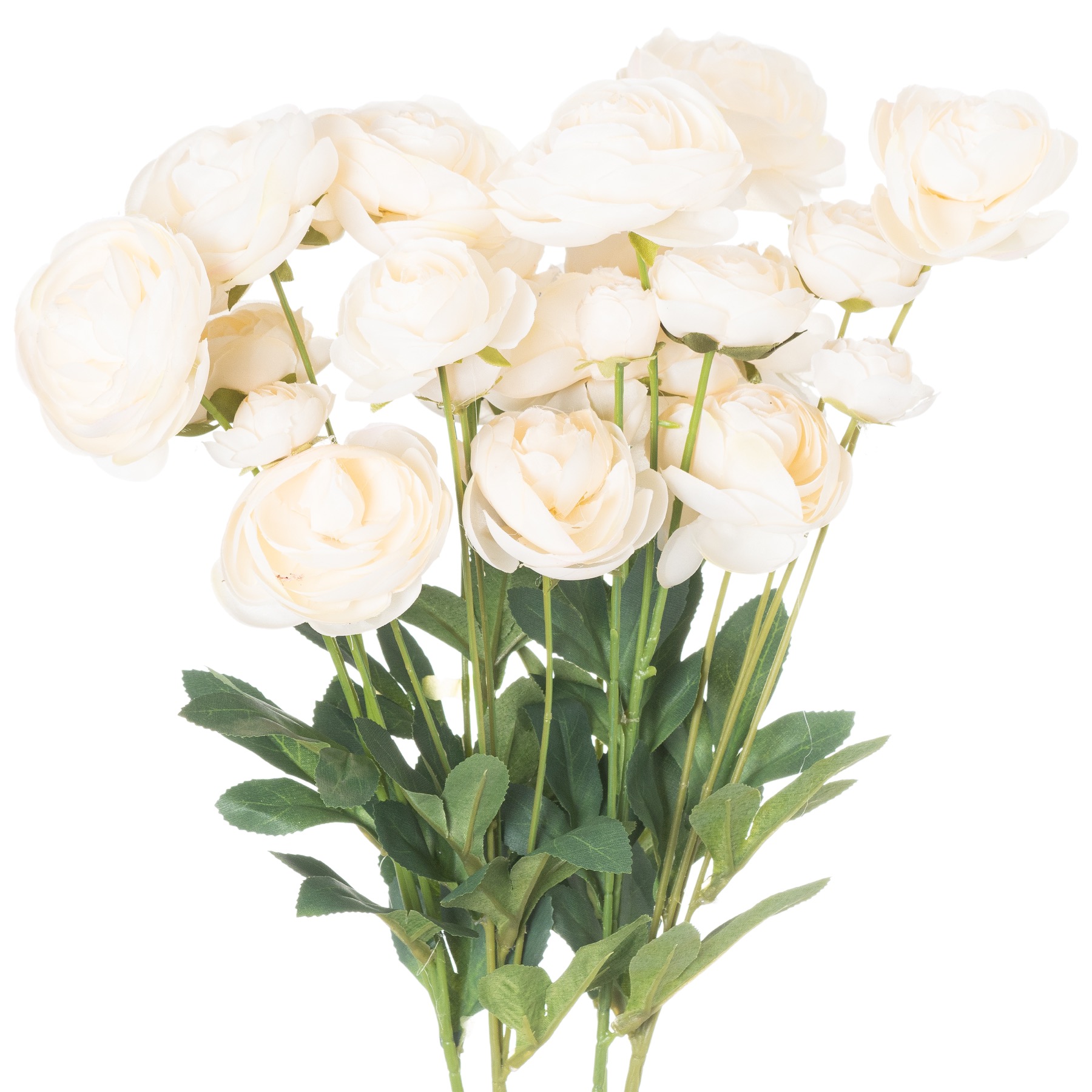 Ranunculus - Cream - Corinthia Corner