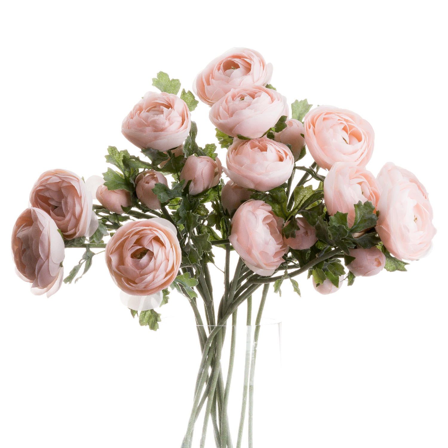 Pastel Ranunculus - Pink - Corinthia Corner