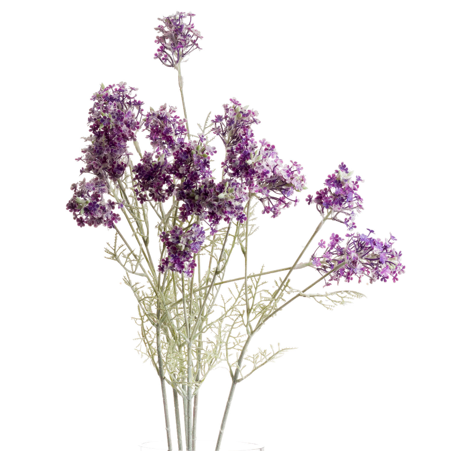 Meadow Flower - Purple - Corinthia Corner