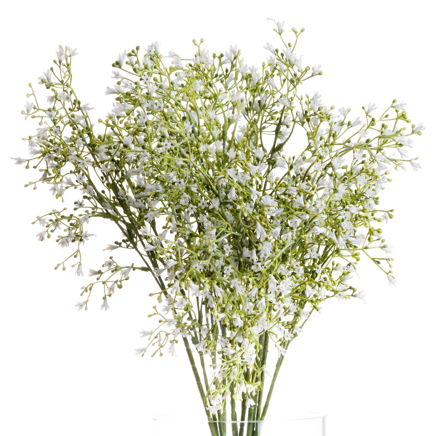 Gypsophila Spray - White - Corinthia Corner