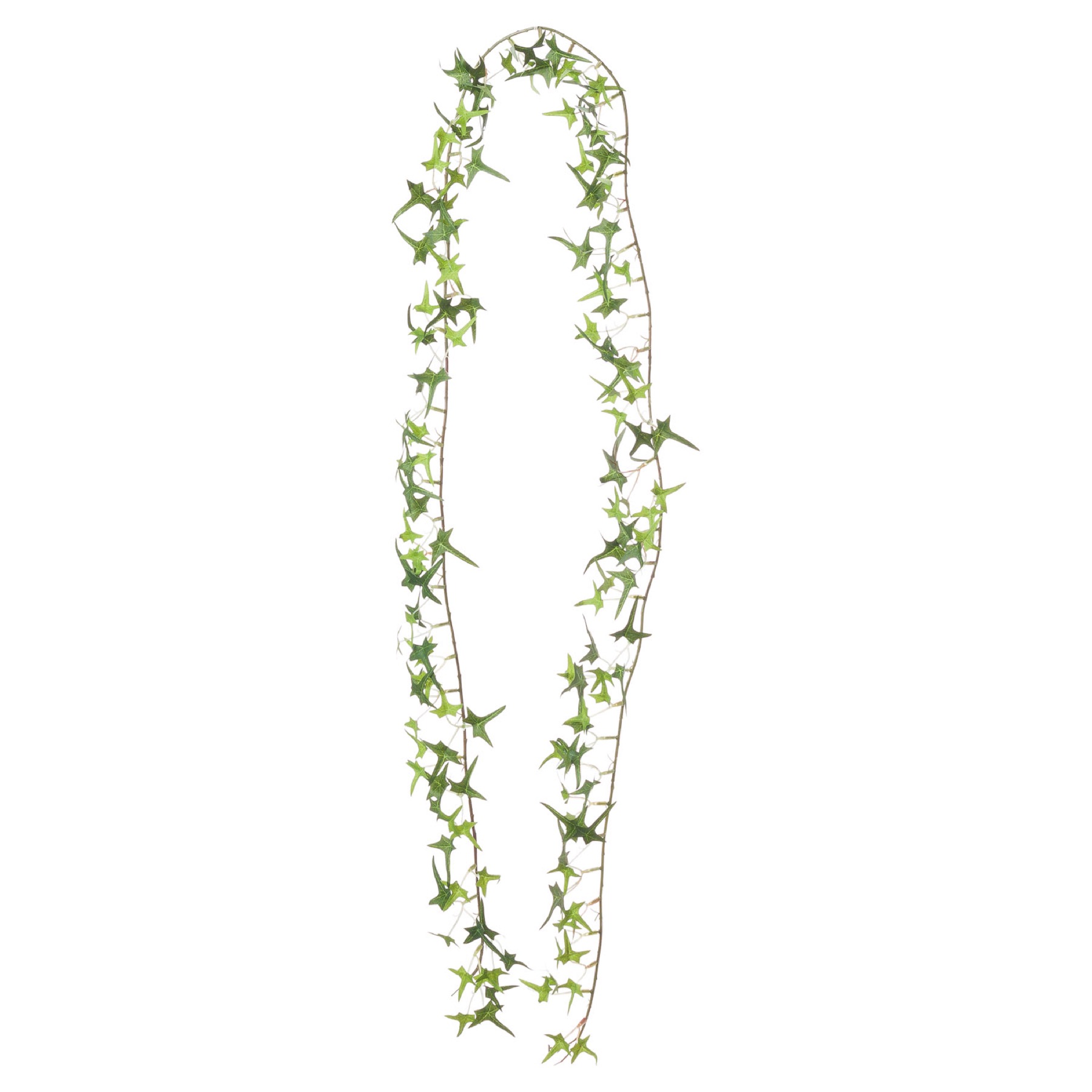Small Ivy Garland - Green - Corinthia Corner