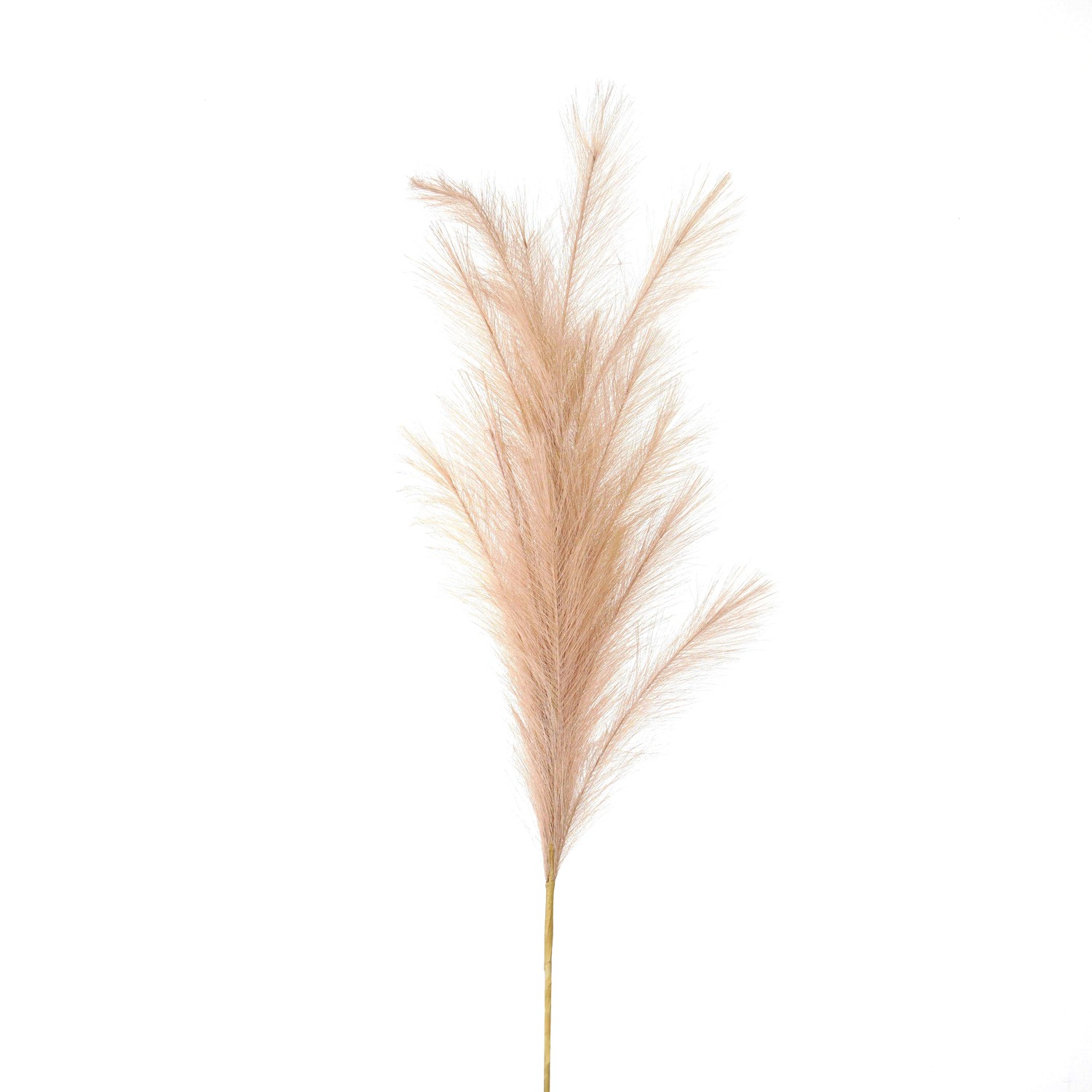 Faux Pampas Grass Stem - Large - Corinthia Corner