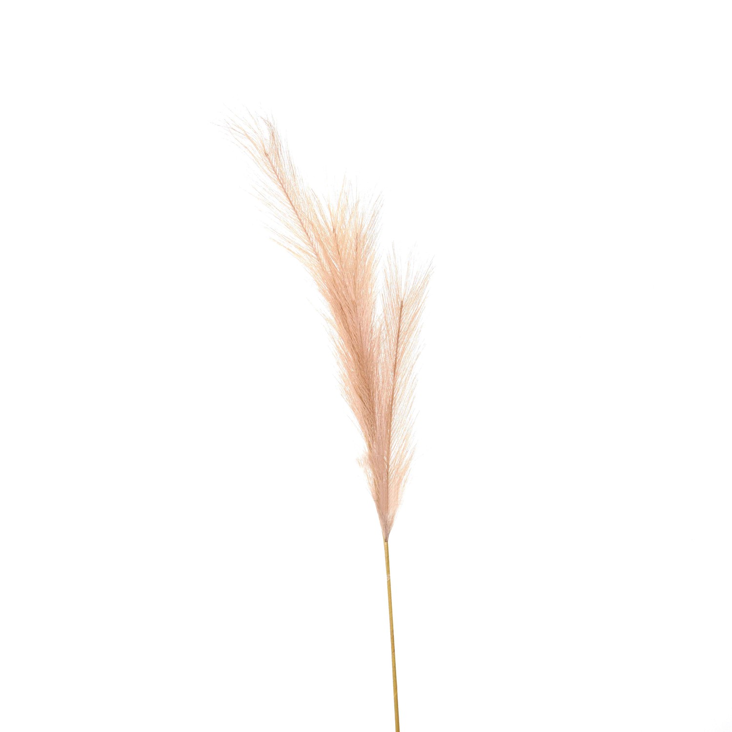 Faux Pampas Grass Stem - Corinthia Corner