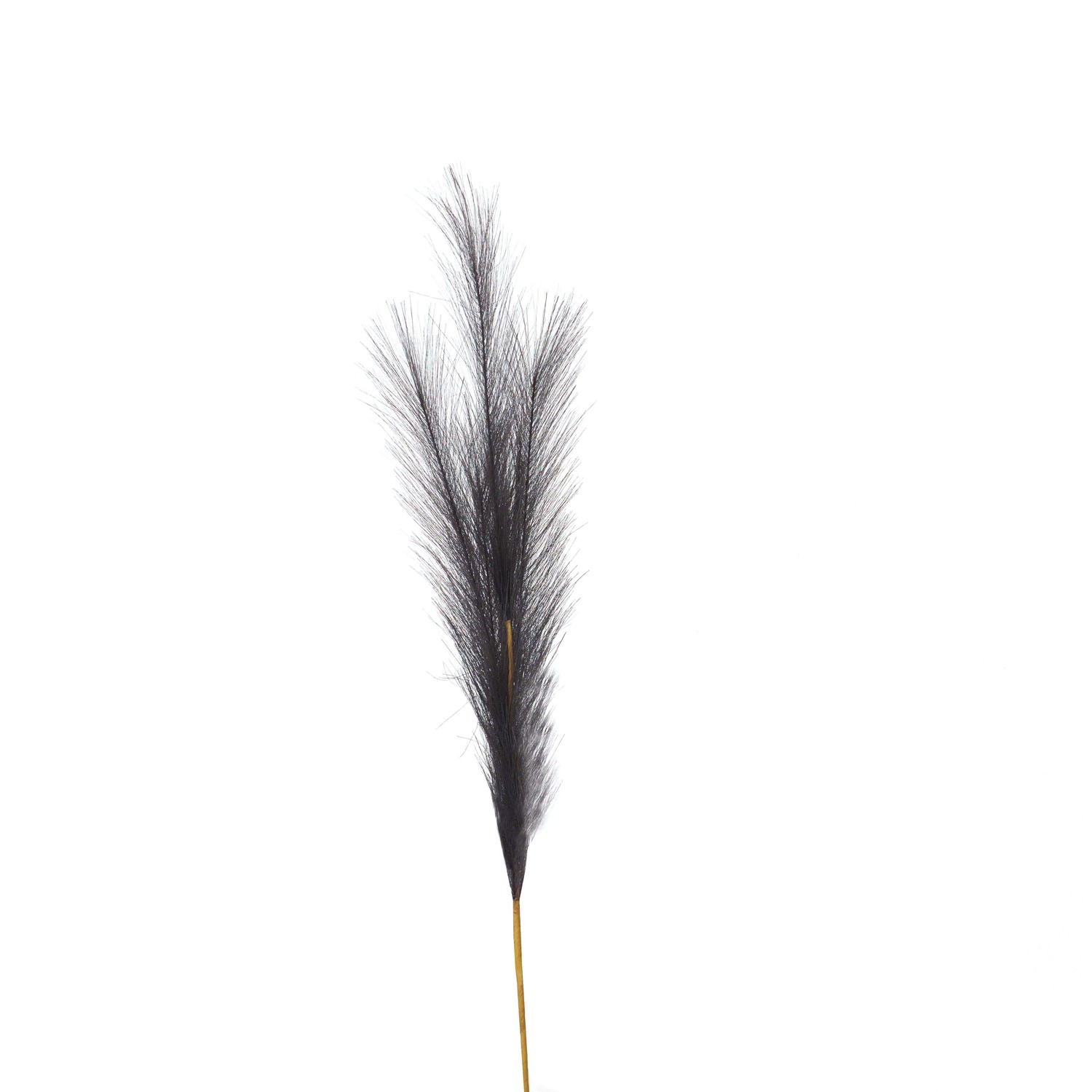 Faux Pampas Grass Stem - Grey - Corinthia Corner