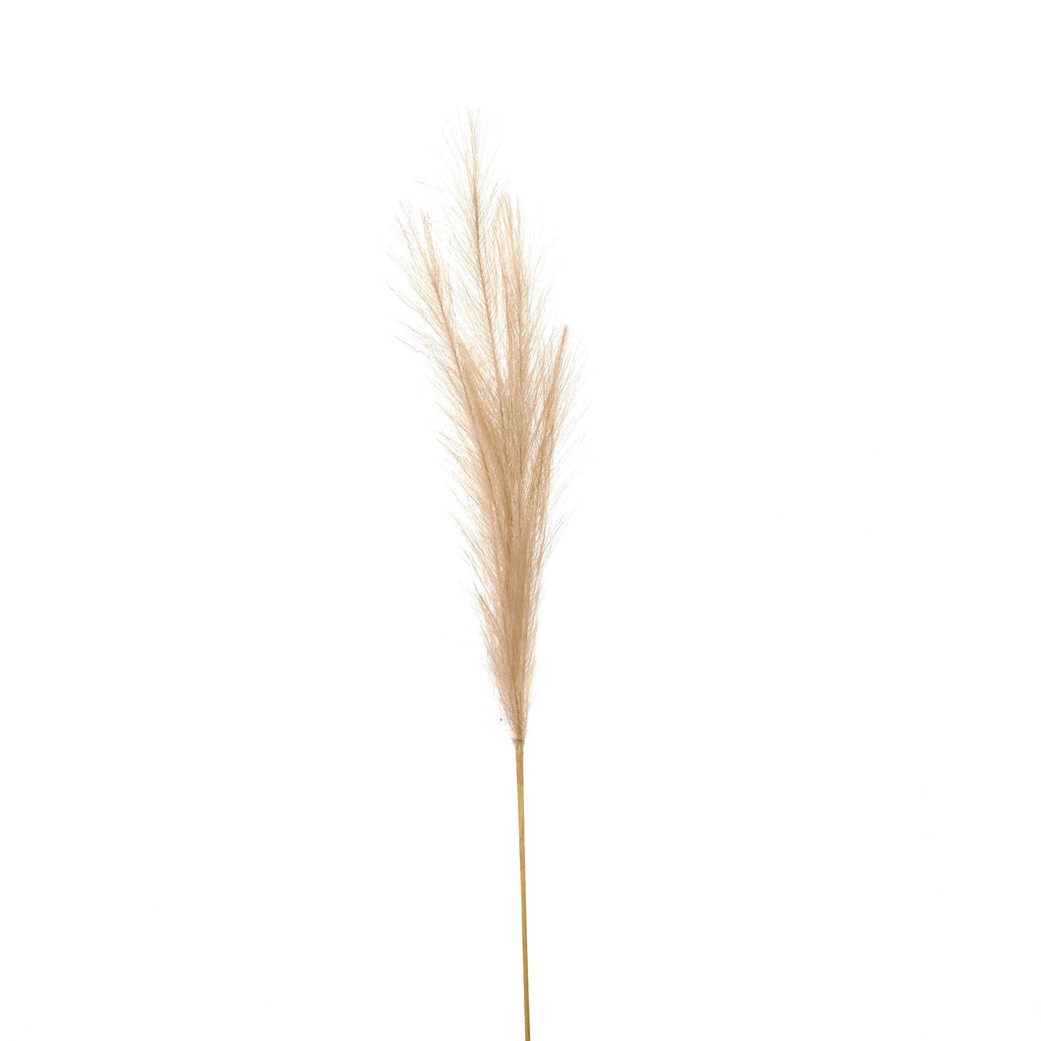 Bleached Faux Pampas Grass Stem - White - Corinthia Corner