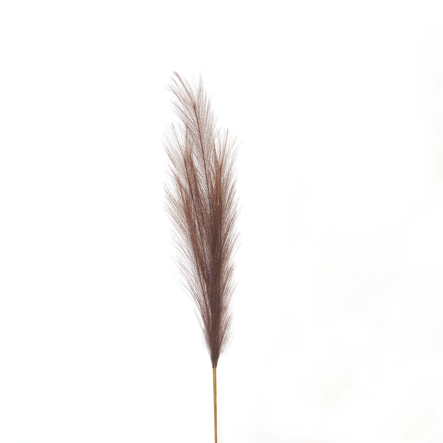 Faux Pampas Grass Stem - Taupe - Corinthia Corner