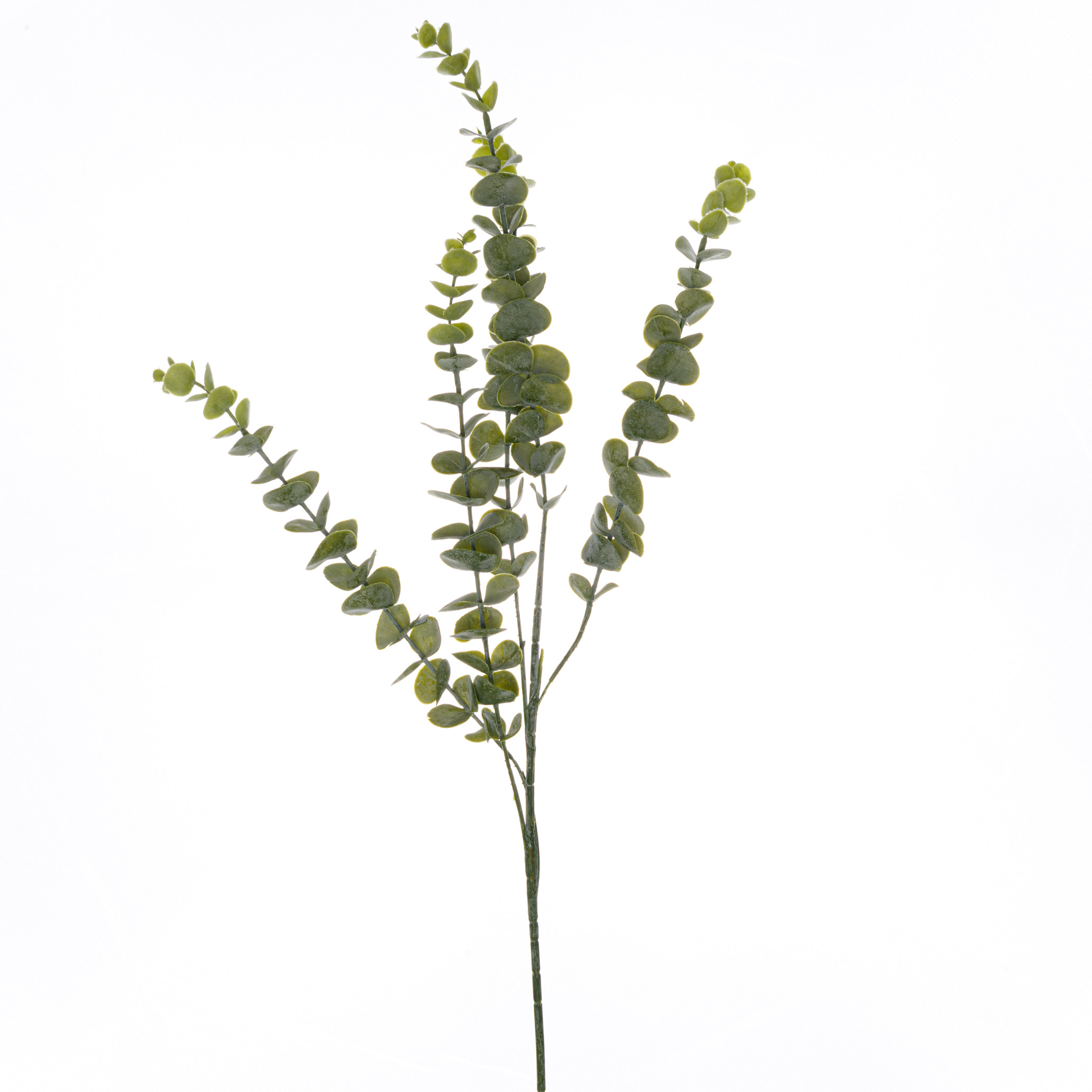 Gunnii Eucalyptus Spray - Green - Corinthia Corner