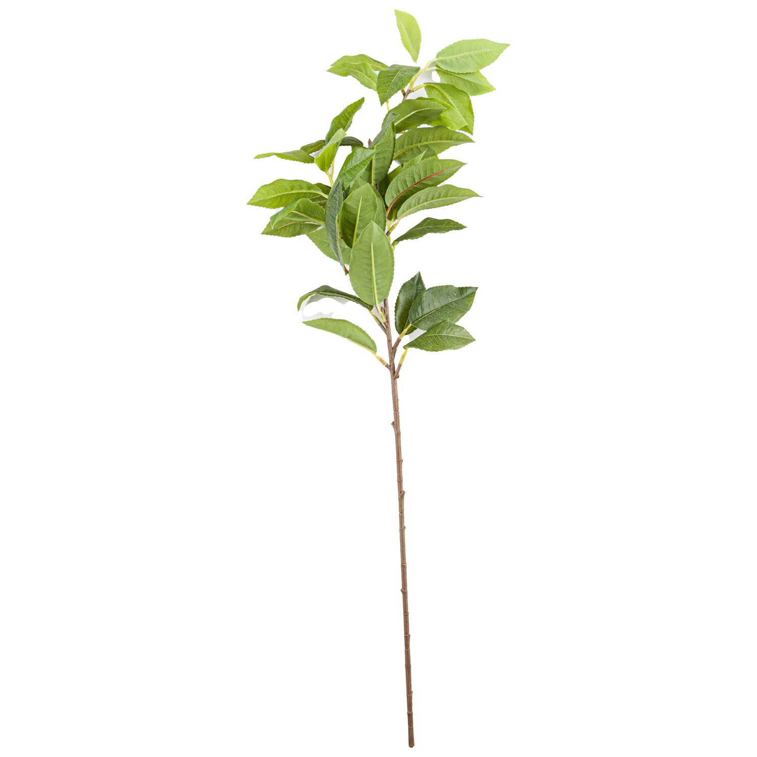 Laurel Leaf Spray - Green - Corinthia Corner