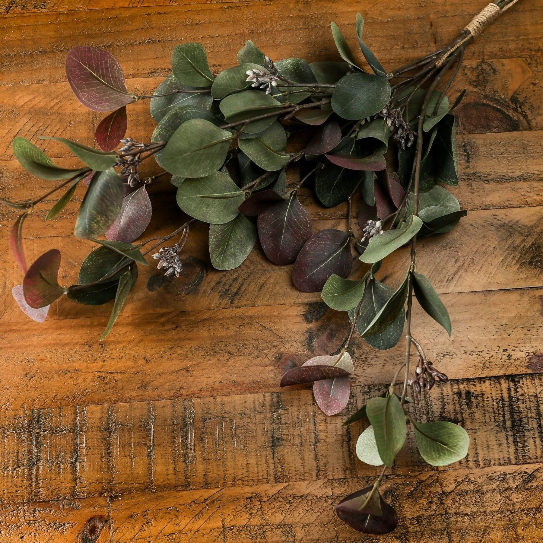 Variegated Eucalyptus Bouquet - Green - Corinthia Corner