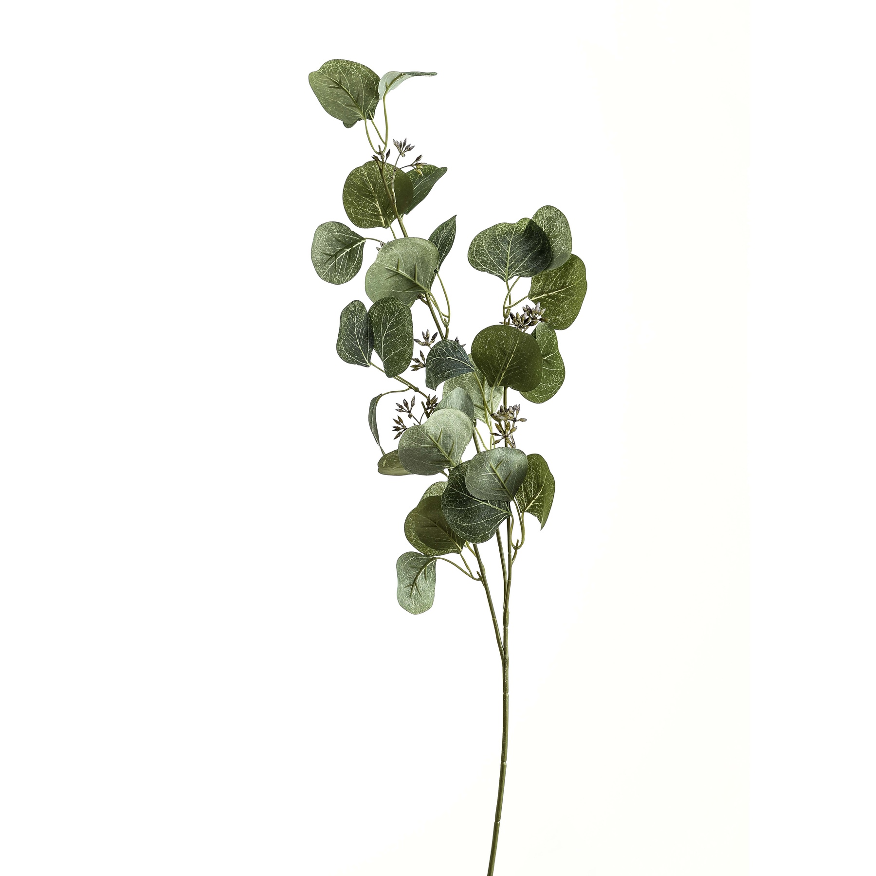 Eucalyptus Stem Spray - Green - Corinthia Corner