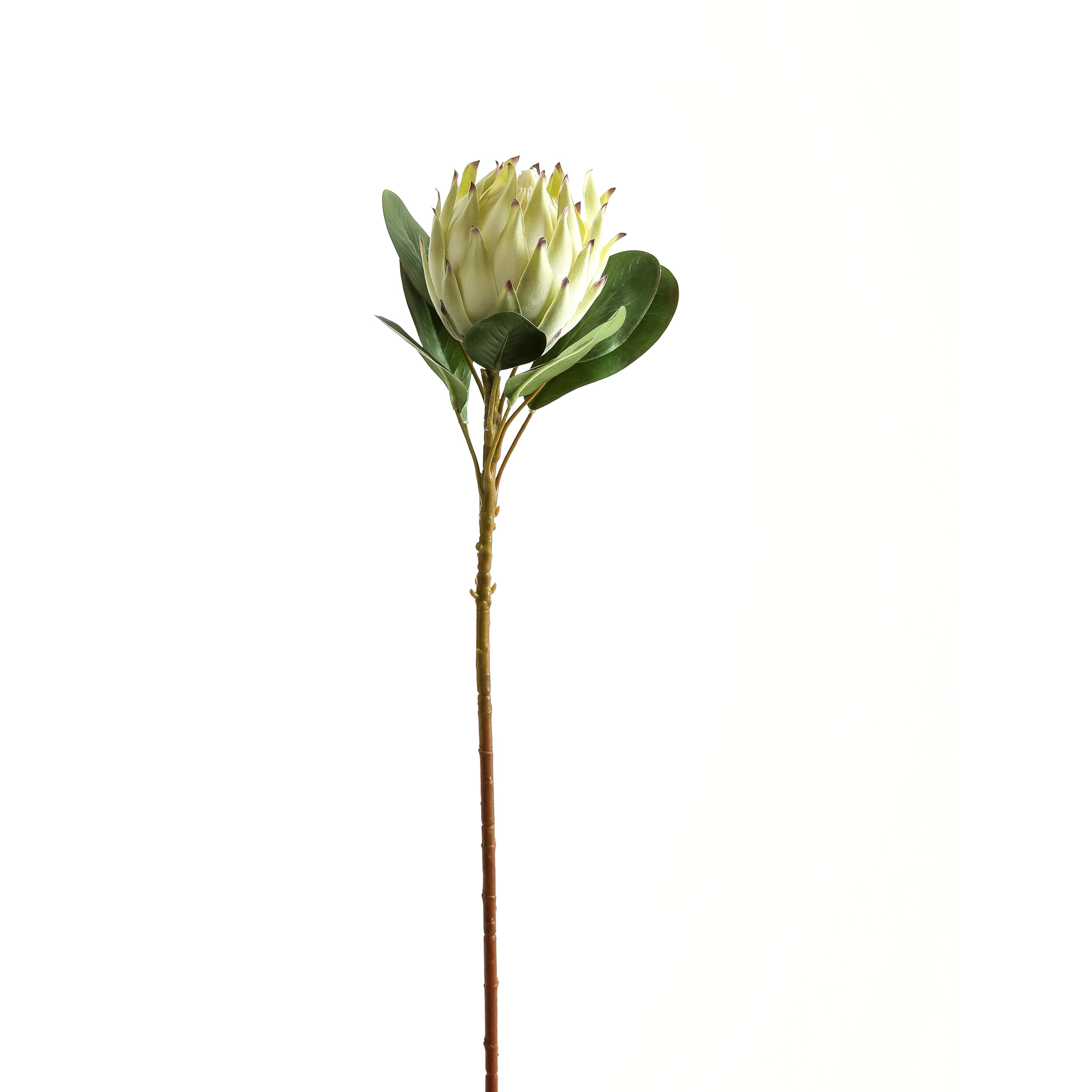 White Protea - Large - Corinthia Corner