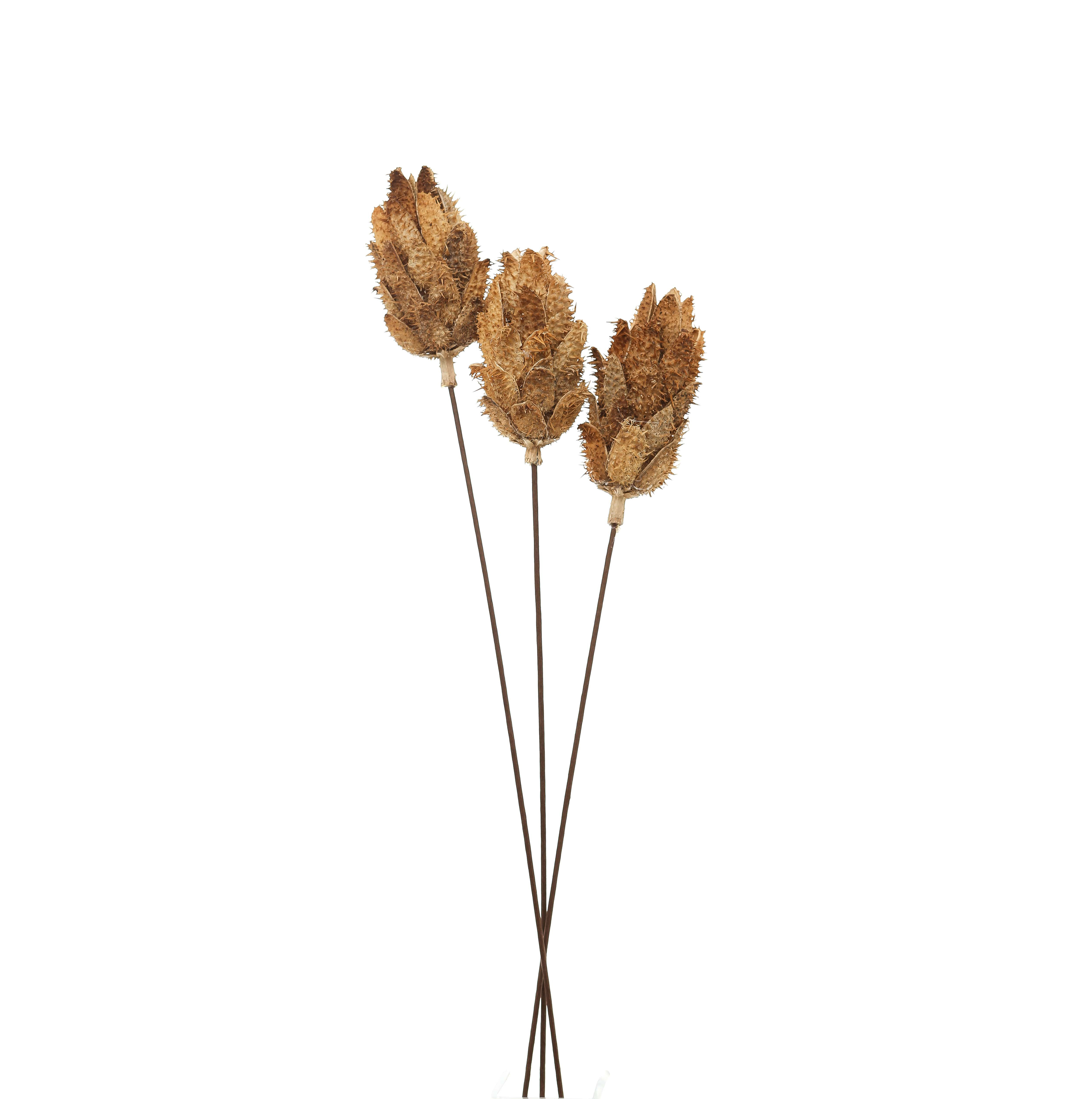 Bouquet Of Dried Protea - Natural - Corinthia Corner