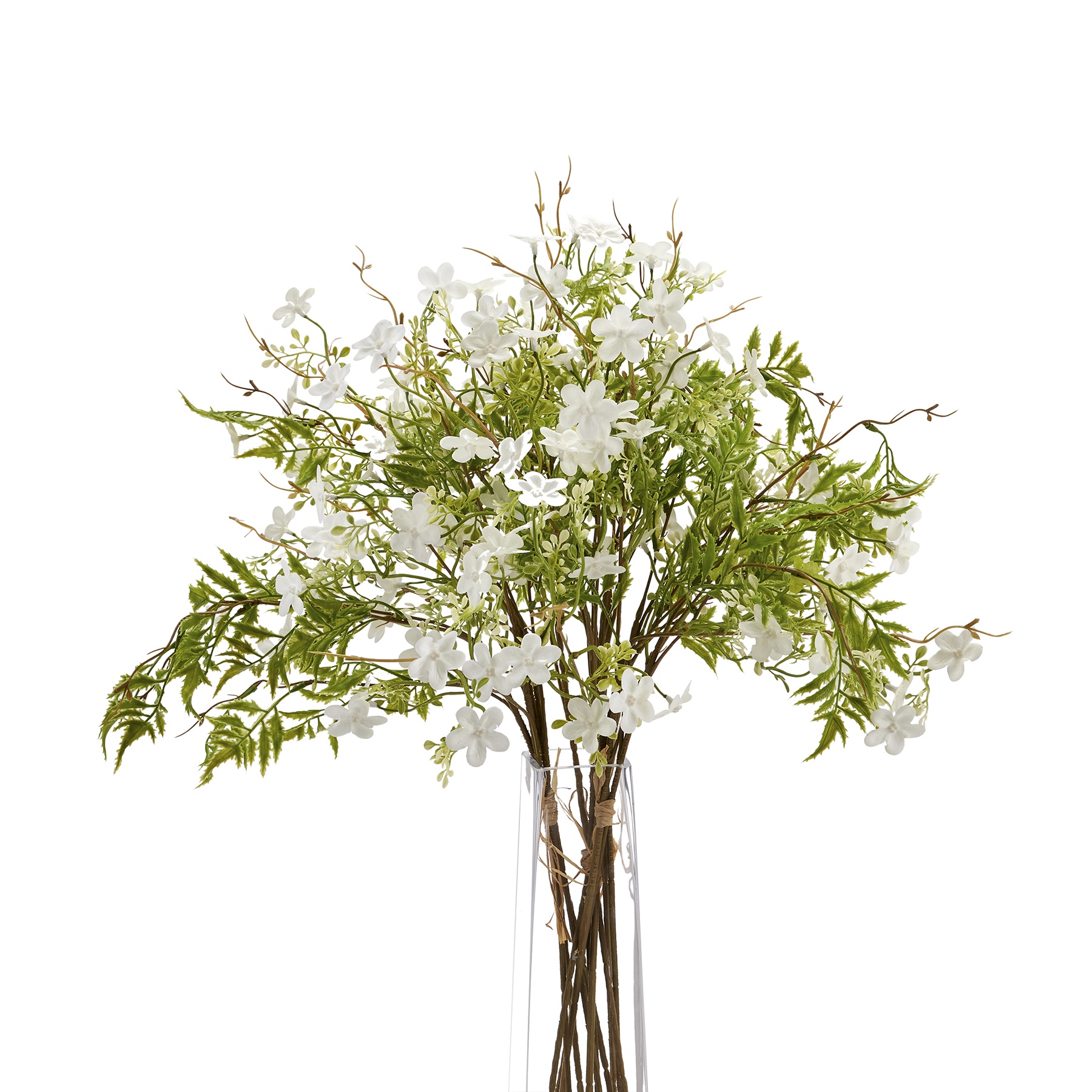 Italian White Bellflower - Green - Corinthia Corner